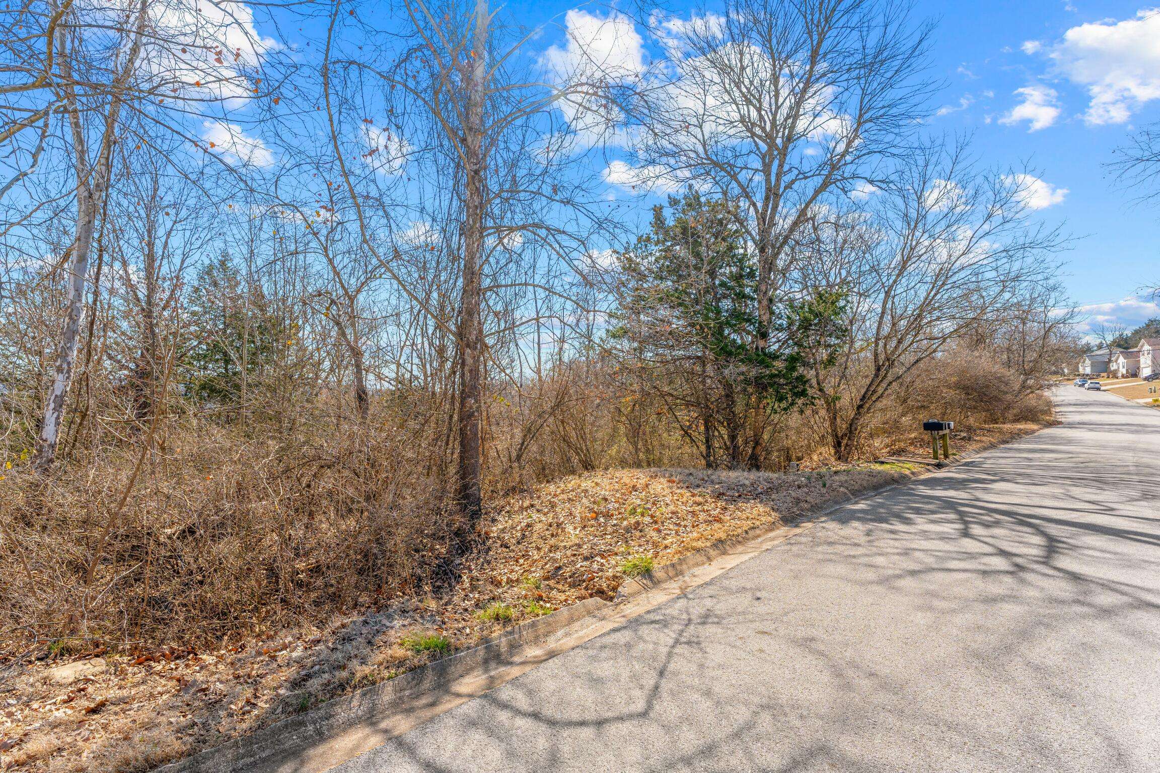 Forsyth, MO 65653,Lot 53 Eagle DR