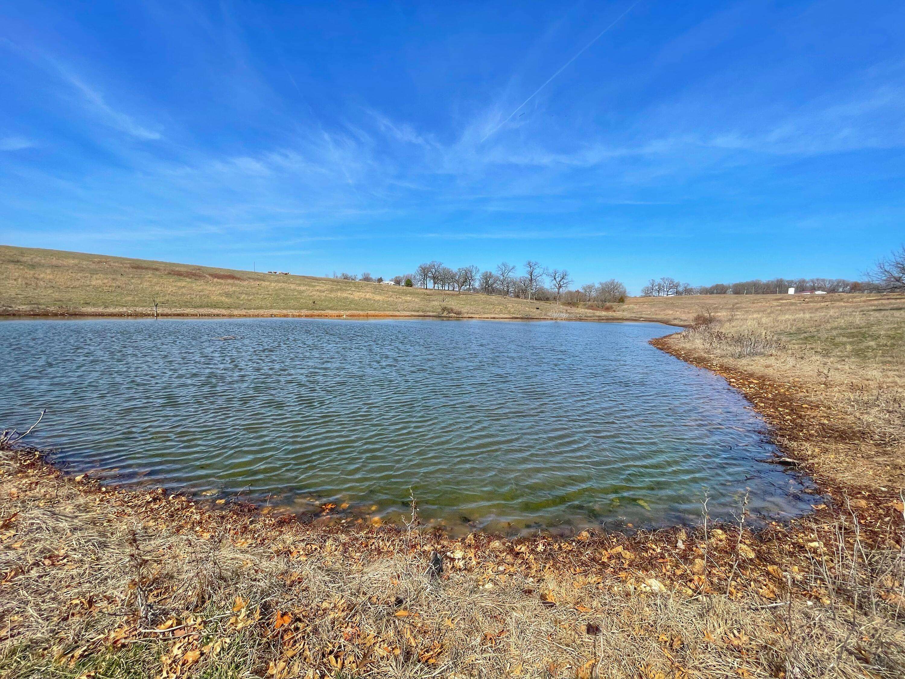 Stockton, MO 65785,0000 E 1974 Road (20 Acres)