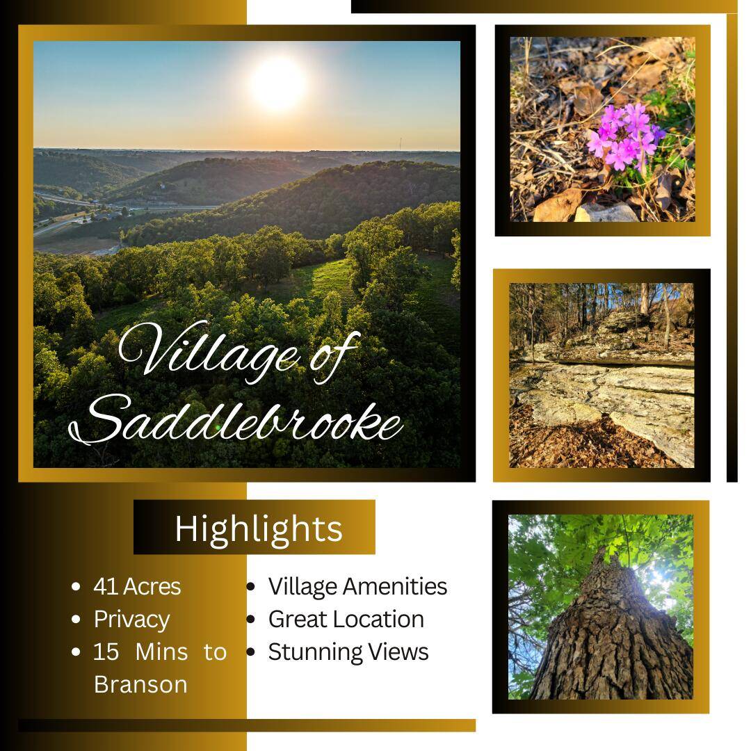 Saddlebrooke, MO 65630,Tract 1 Greenwood Road