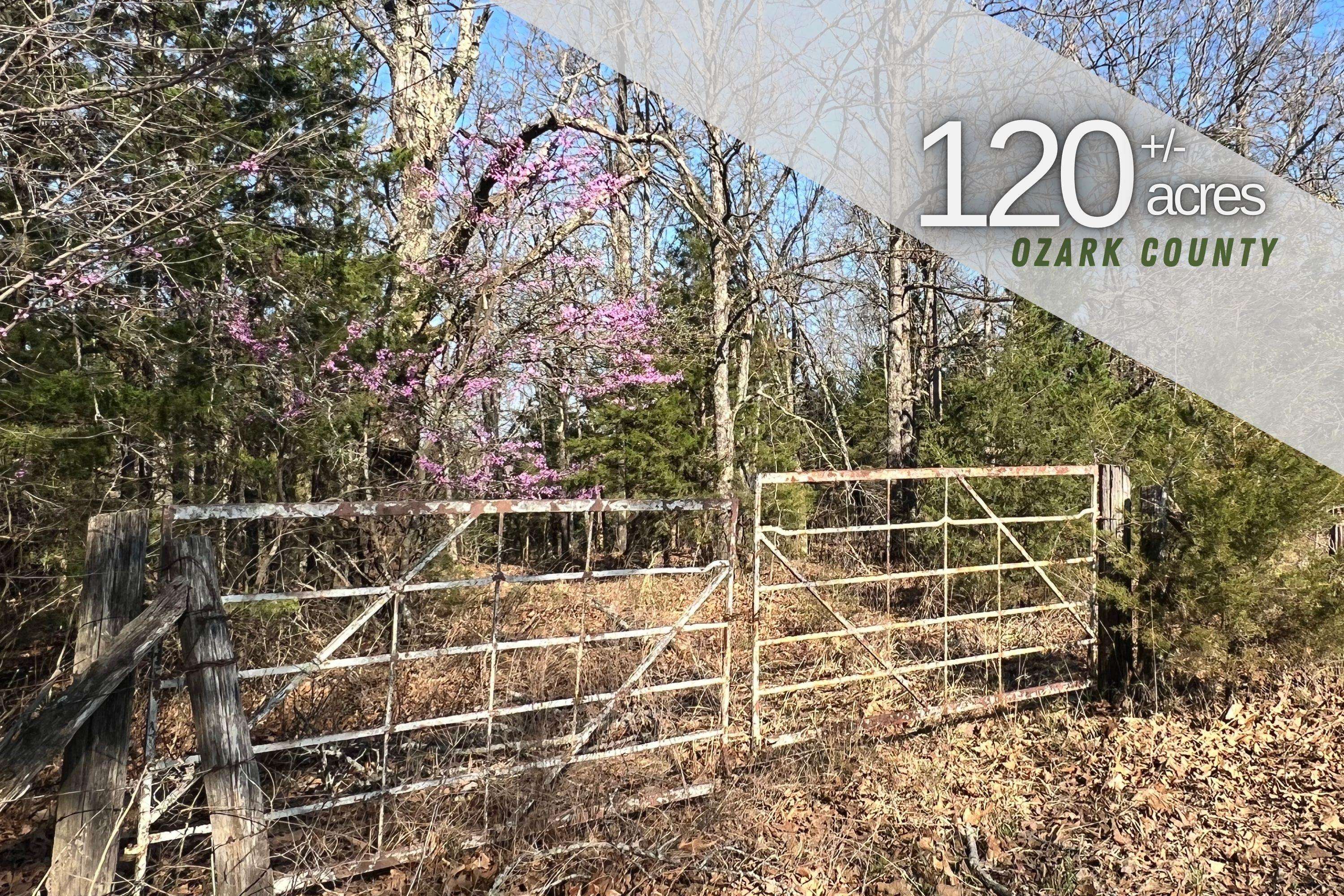 Tecumseh, MO 65760,120 Ac County Road 547
