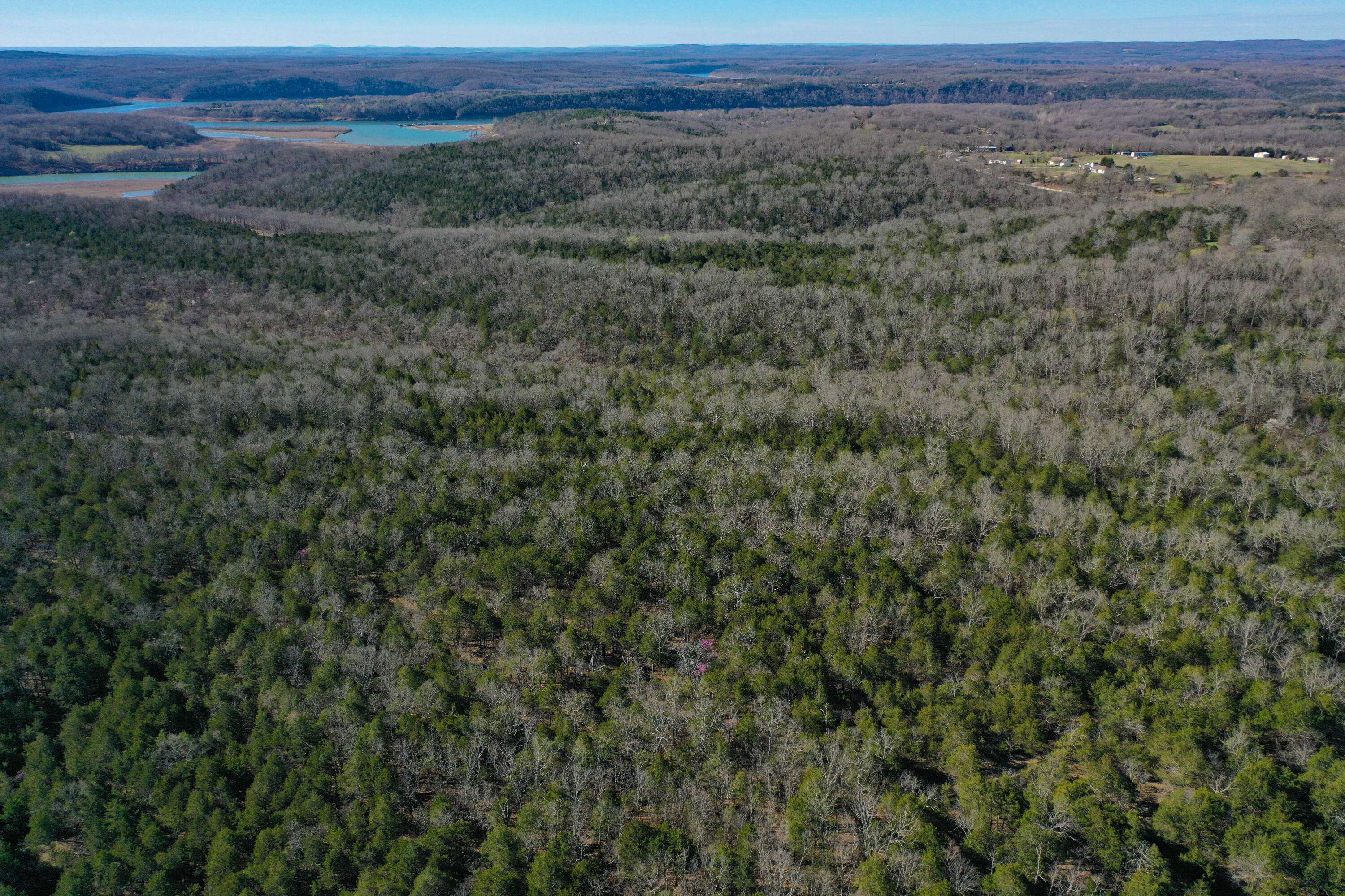 Kissee Mills, MO 65680,000 Sanders Rd- Sub Lot 5