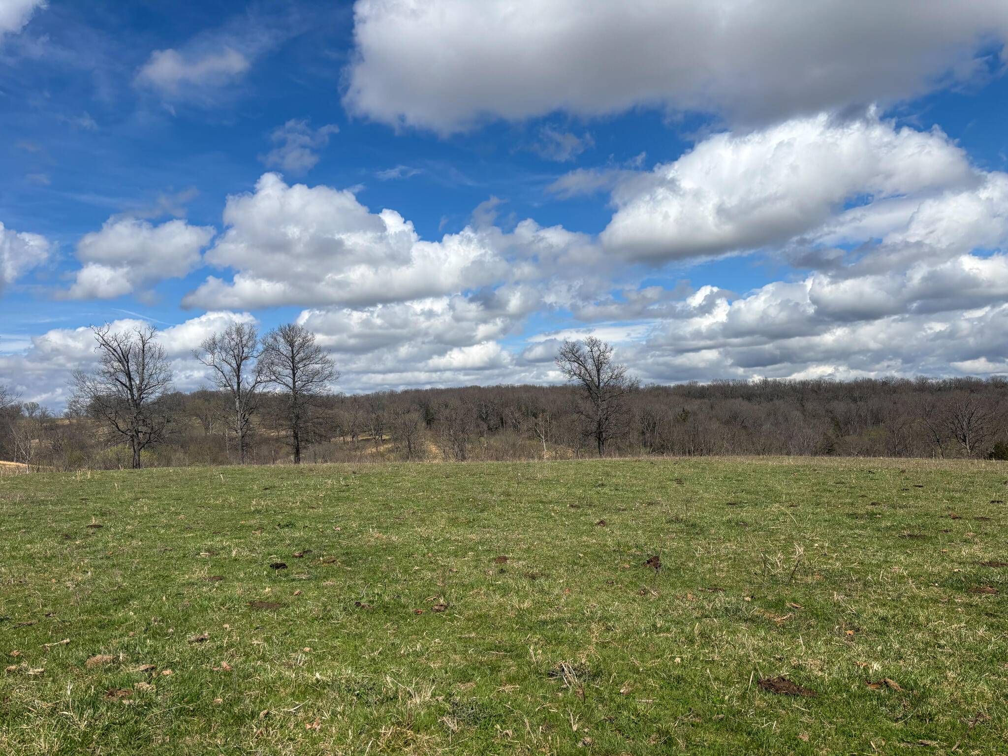 Wasola, MO 65773,000 Highway 95