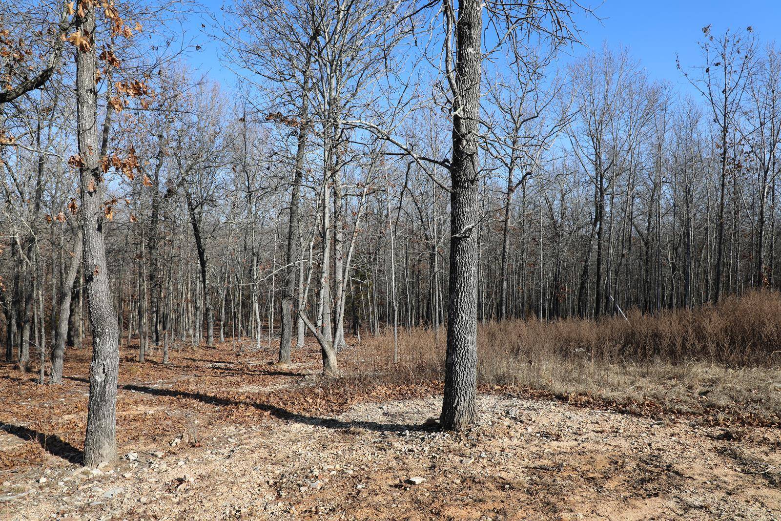 West Plains, MO 65775,6226 County Road 9300