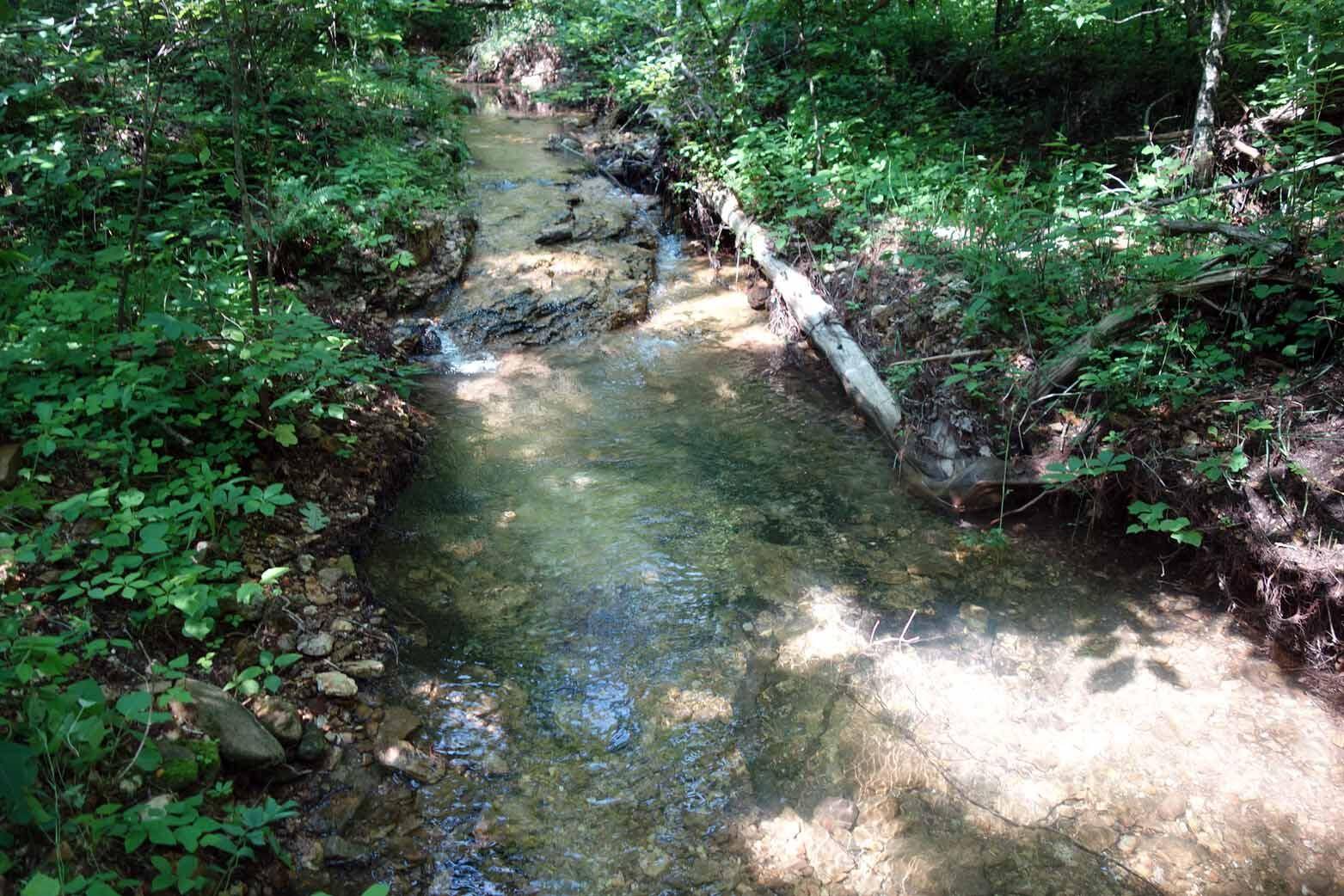 Eminence, MO 65466,000 County Road 309