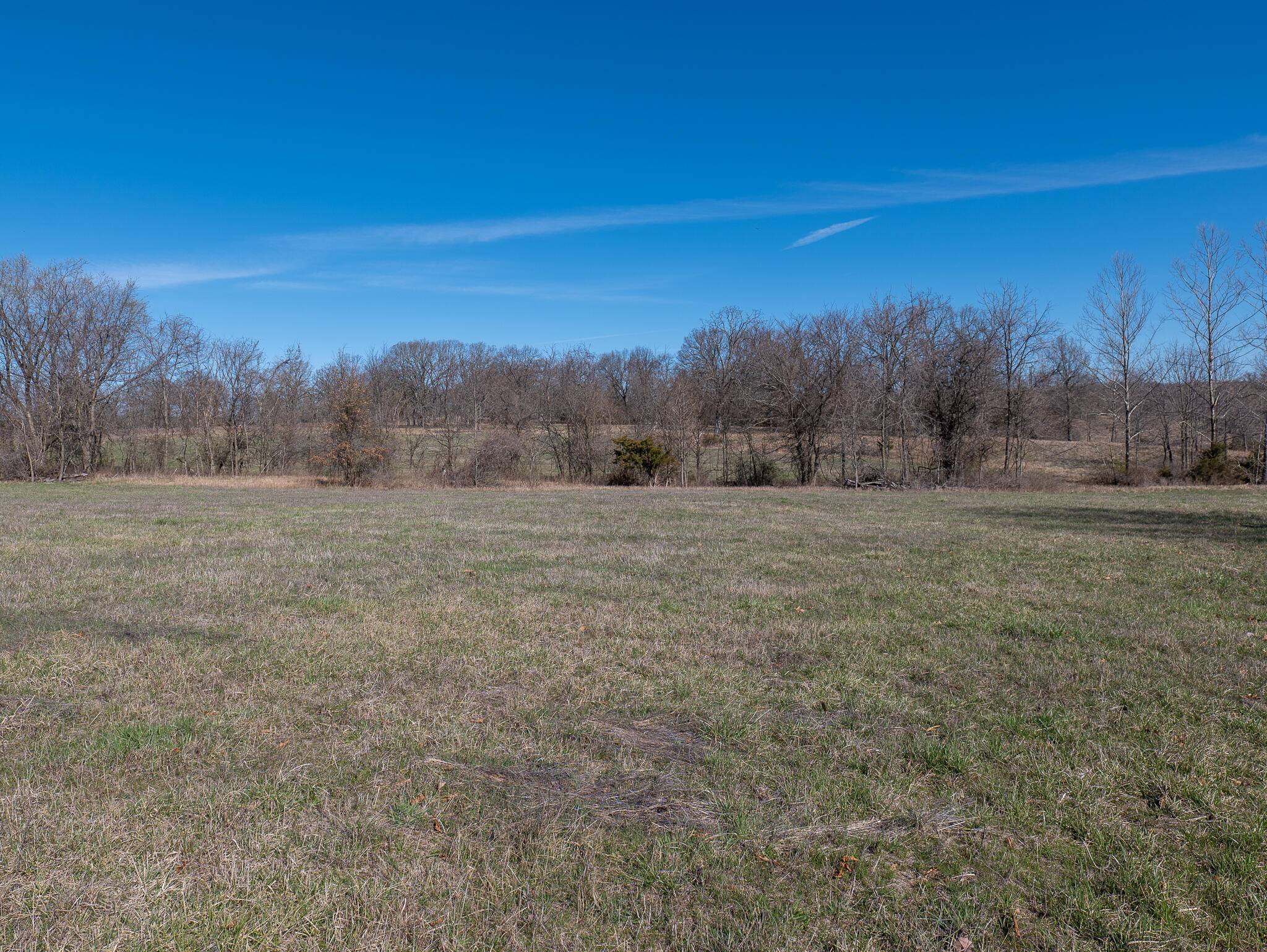 Dunnegan, MO 65640,000 E 395th RD