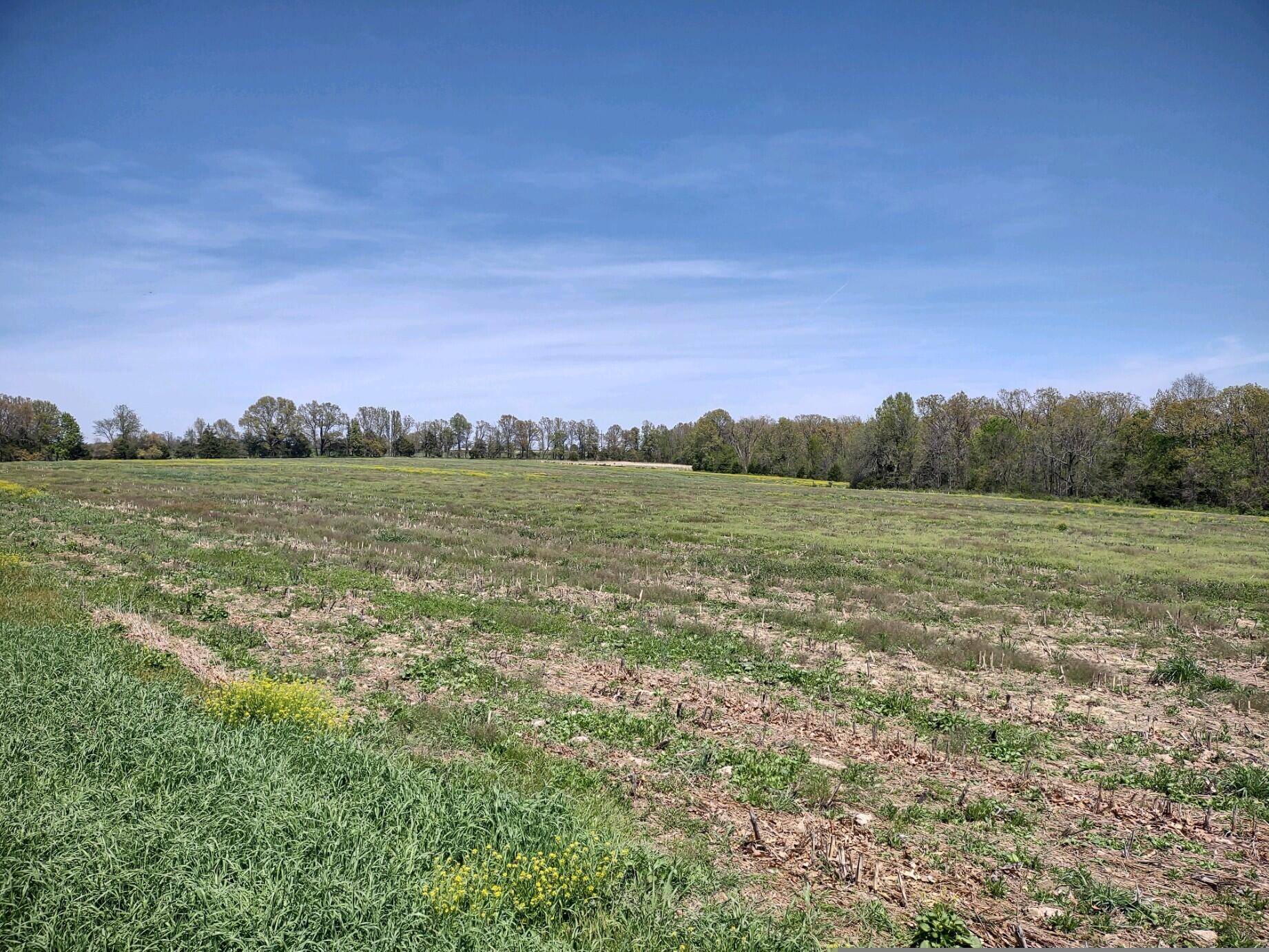 Marshfield, MO 65706,Tbd Wiseman RD #Tract 3