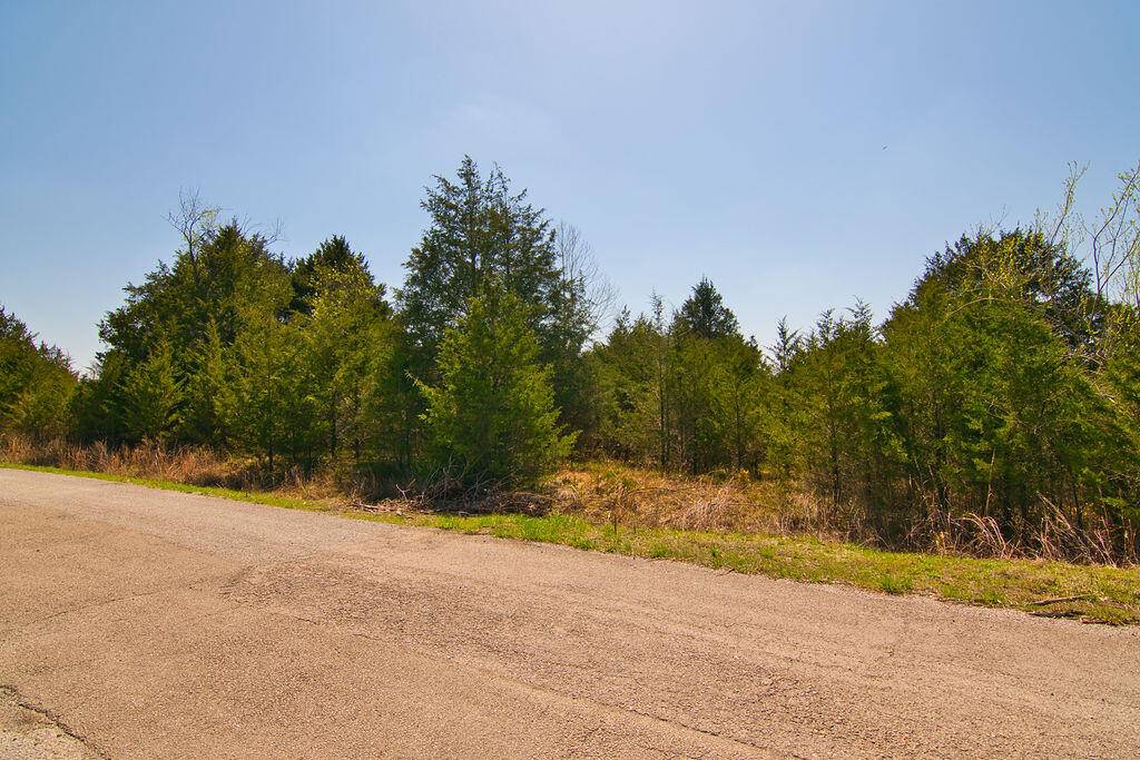 Branson, MO 65616,000 Mills Hollow RD