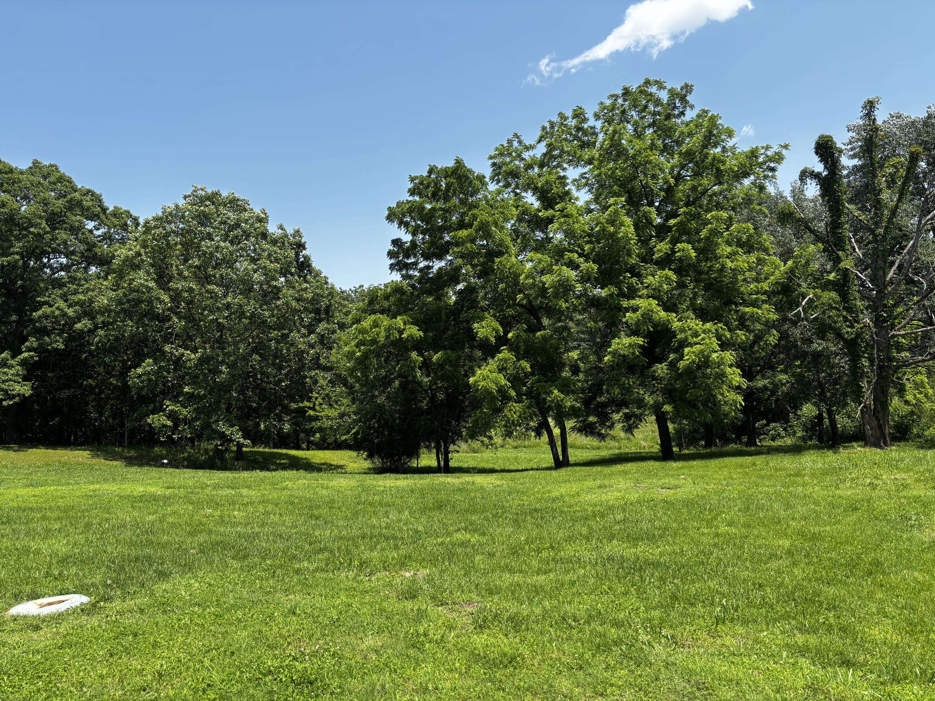 Elkland, MO 65644,1879 Sawmill RD