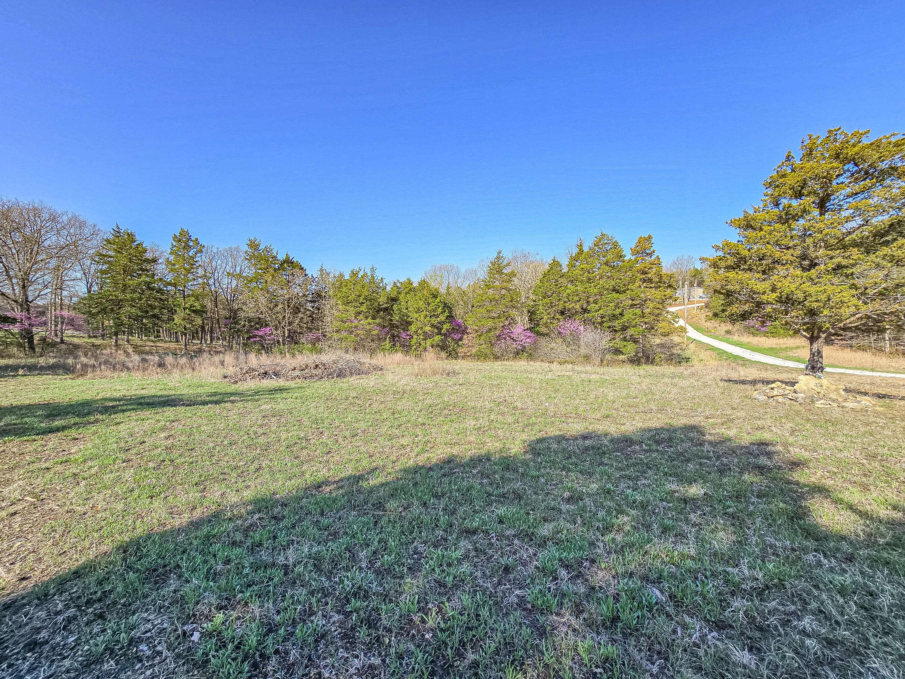 Wheatland, MO 65779,Lot 3 County Road 203