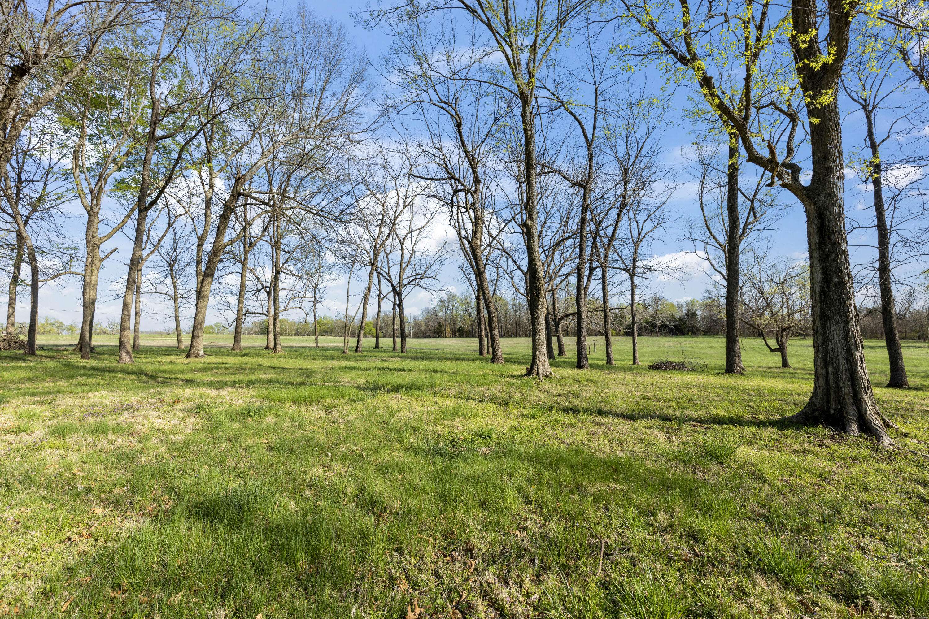 Walnut Grove, MO 65770,Tbd N Farm Road 23