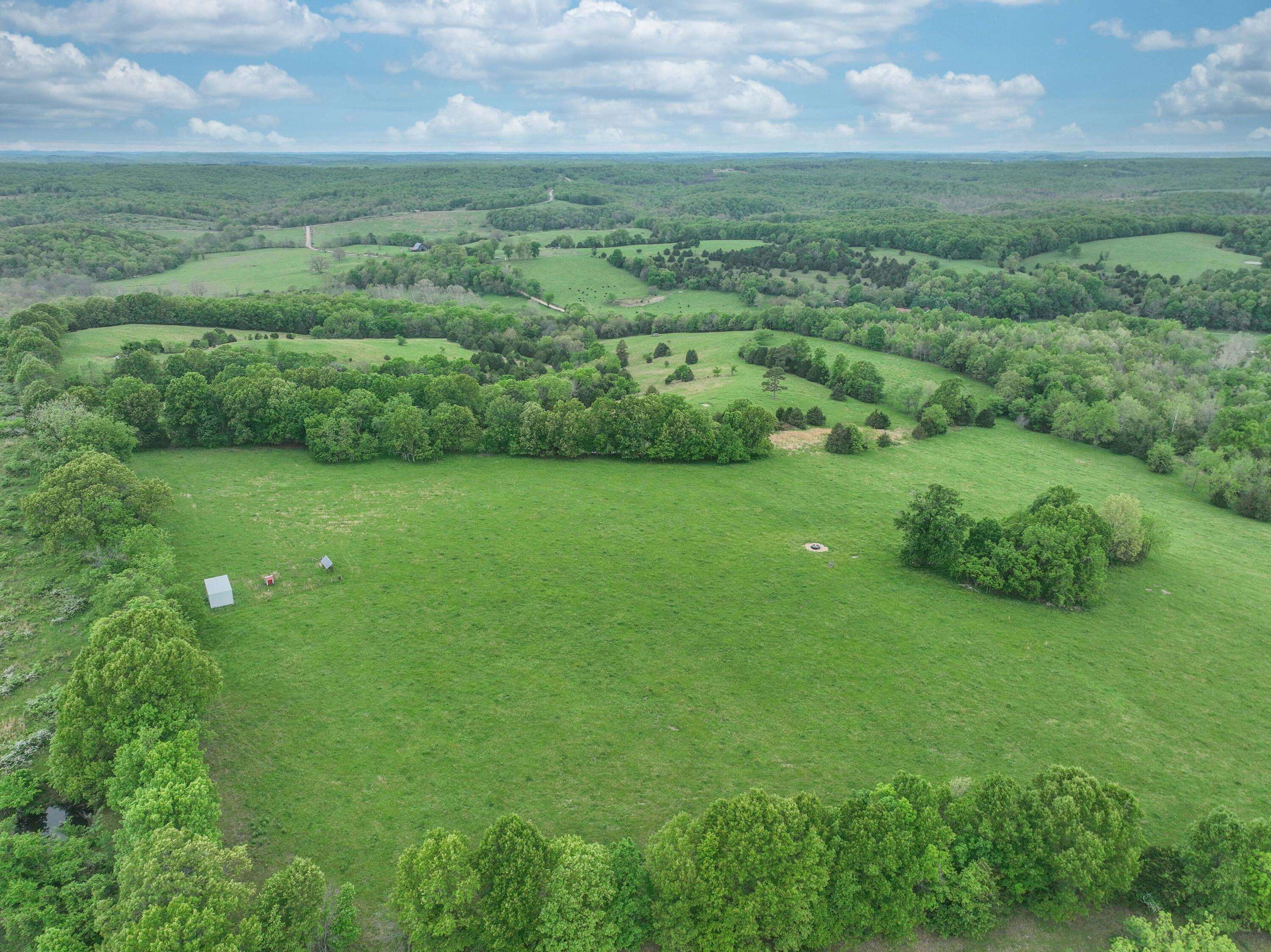 Vanzant, MO 65768,000 County Road Cc-256