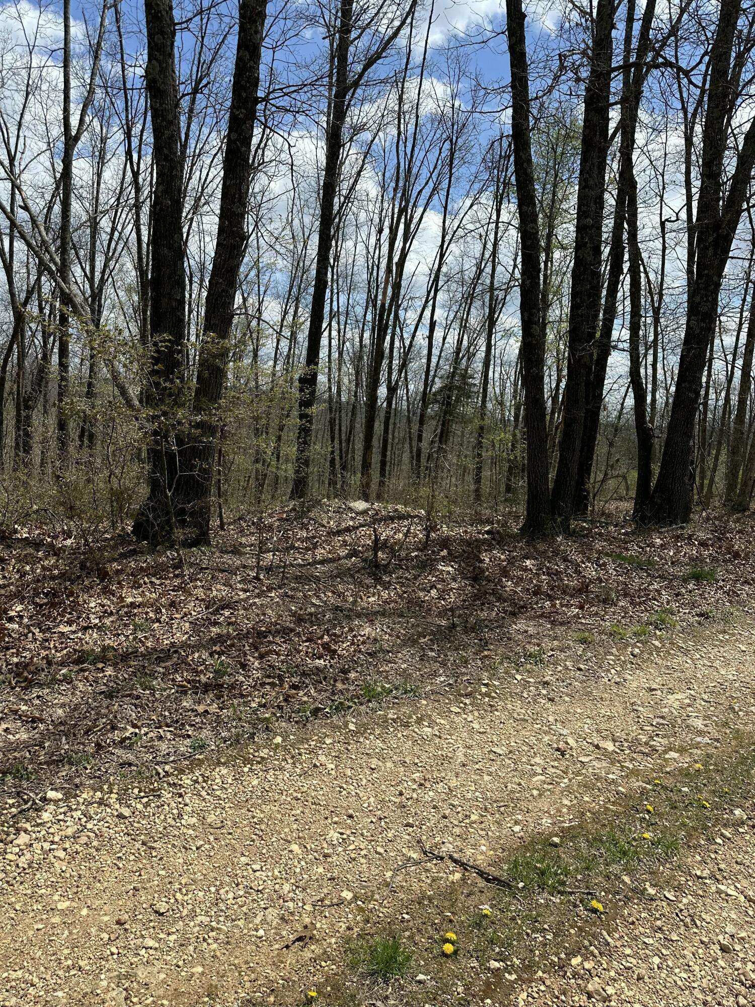 Seymour, MO 65746,Address not disclosed