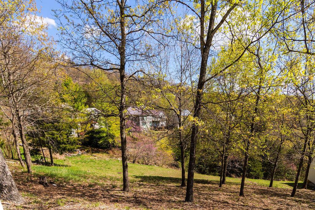 Branson West, MO 65737,374 Slane Chapel Road