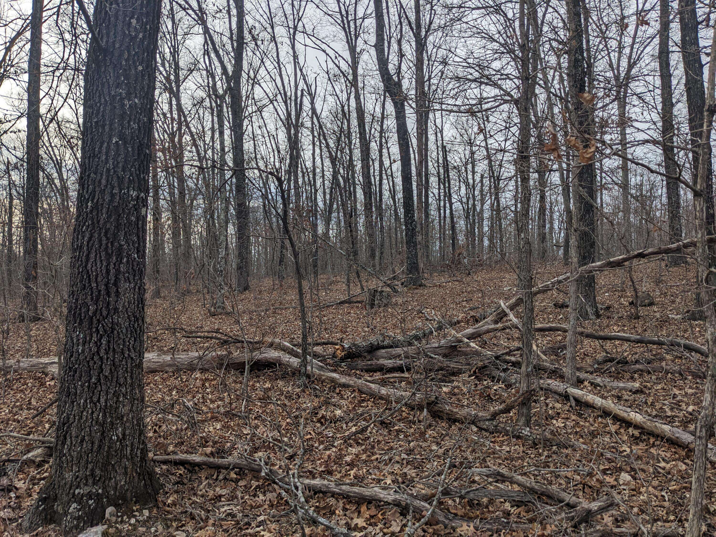Eminence, MO 65466,000 Unnamed Road