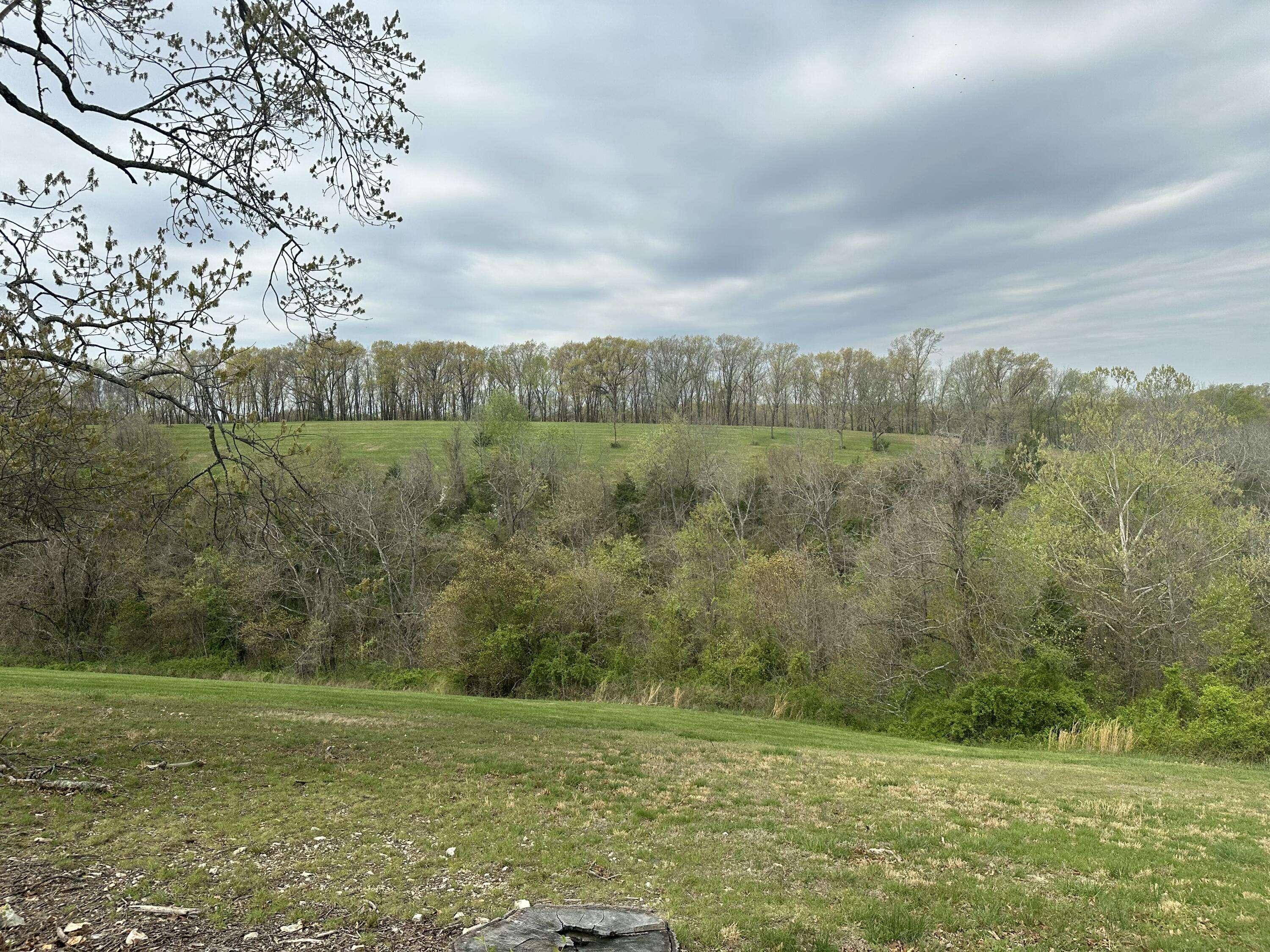Reeds Spring, MO 65737,290 Newbury RD #Lot 40b