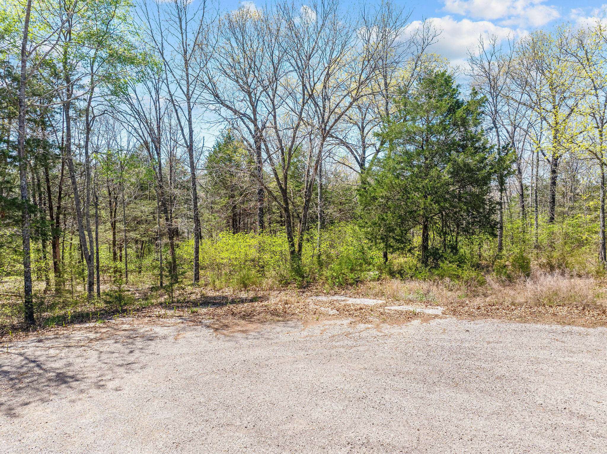 Branson, MO 65616,000 Lot 29 Mills Hollow CT