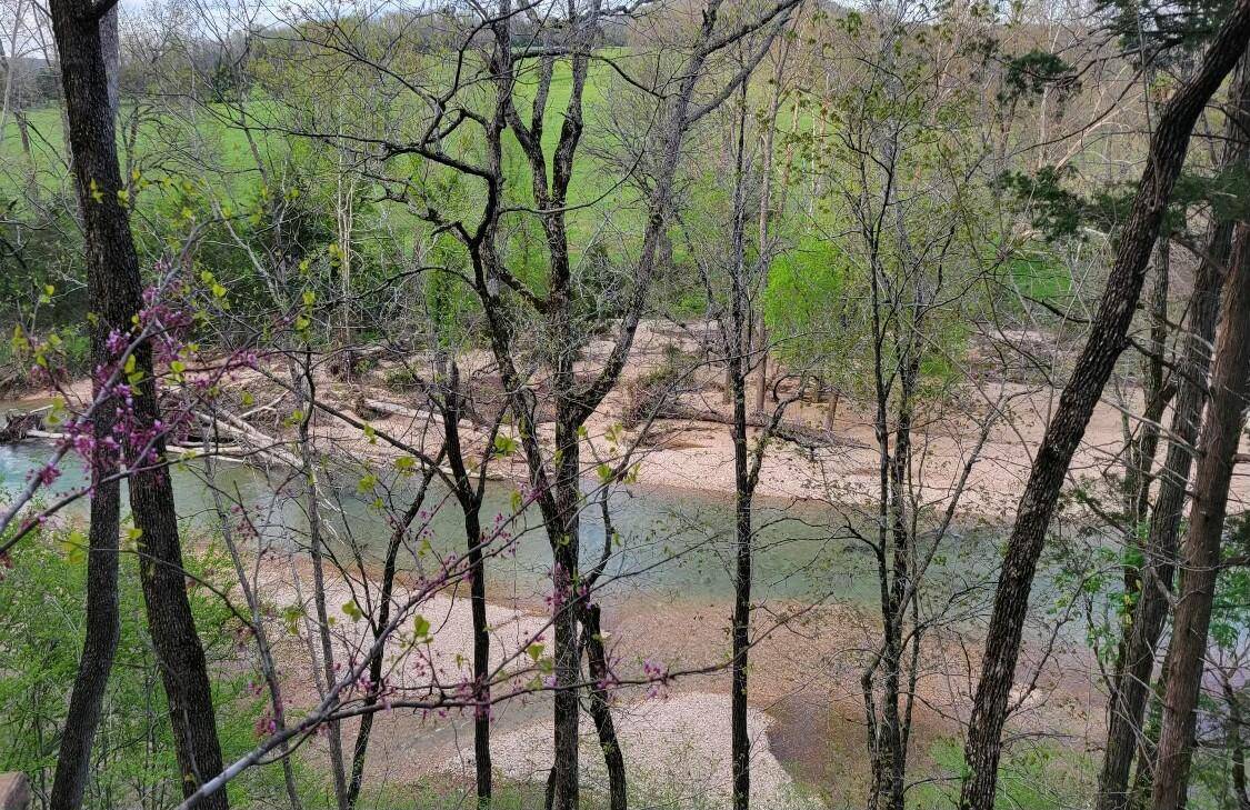 Saddlebrooke, MO 65630,1920 Dry Hollow RD