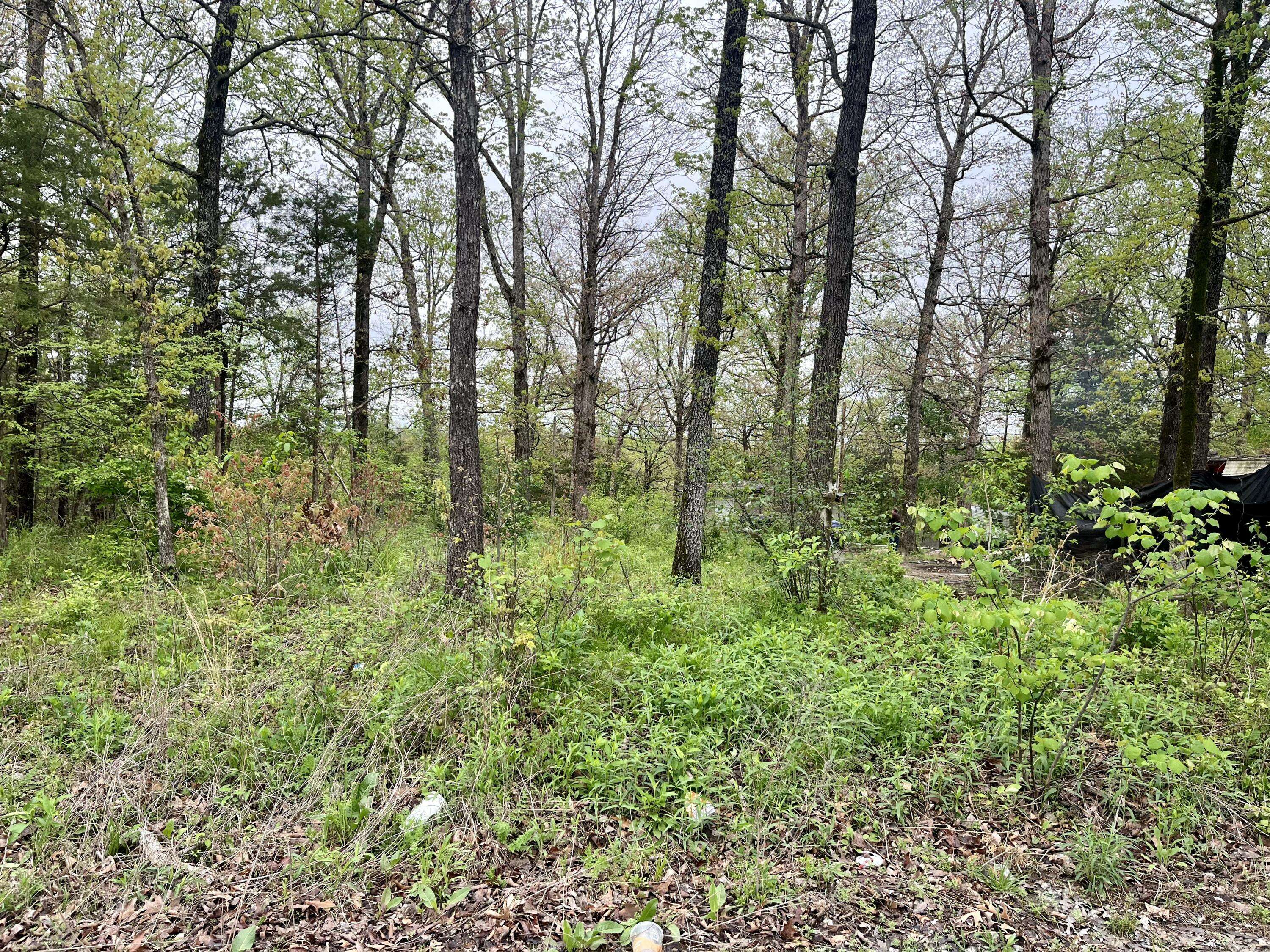 Merriam Woods, MO 65740,7009 Cliff DR