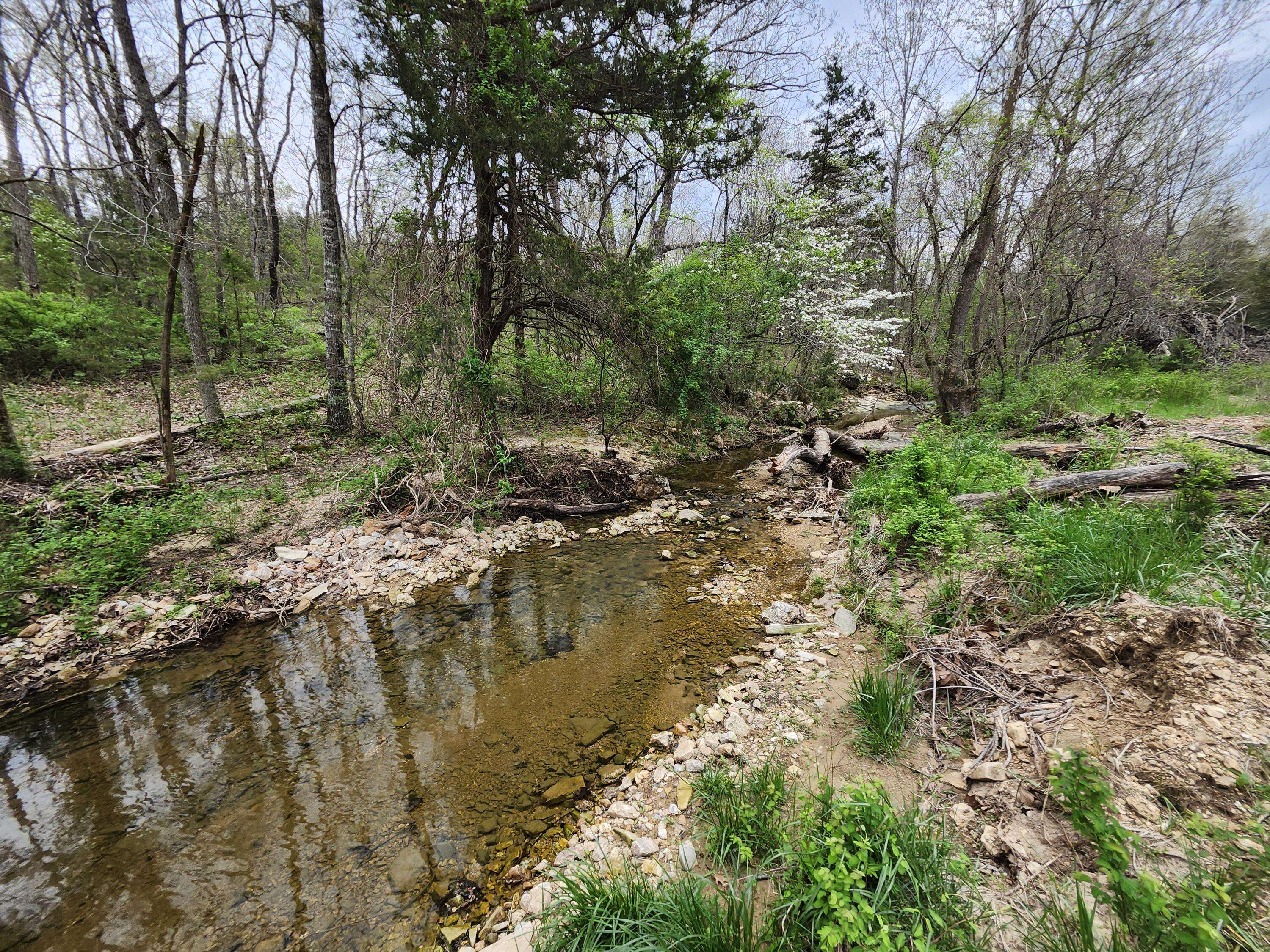 Mountain Grove, MO 65711,C-Tbd Gravelpoint Road