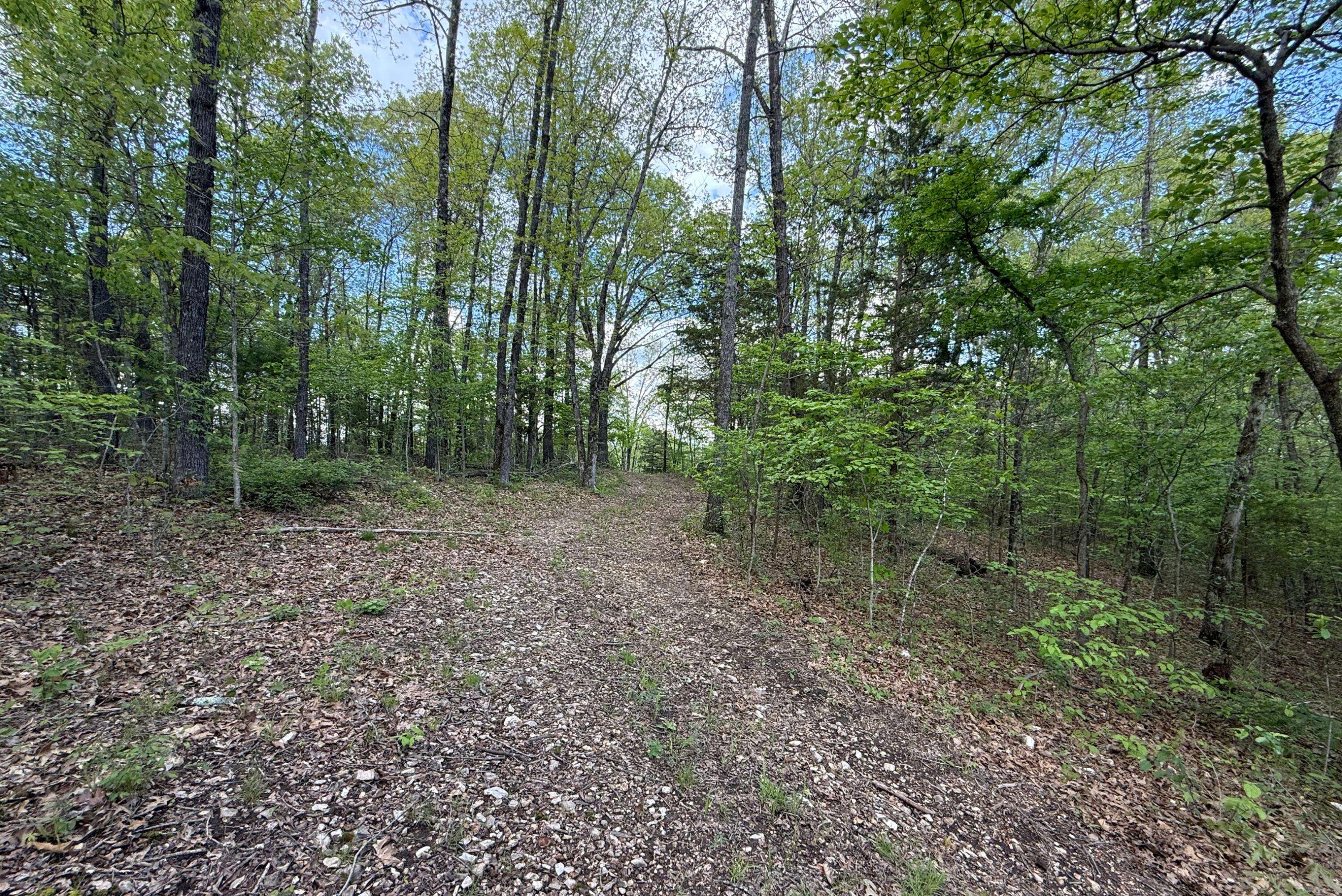 Galena, MO 65656,Lot 19 Mccord Bend