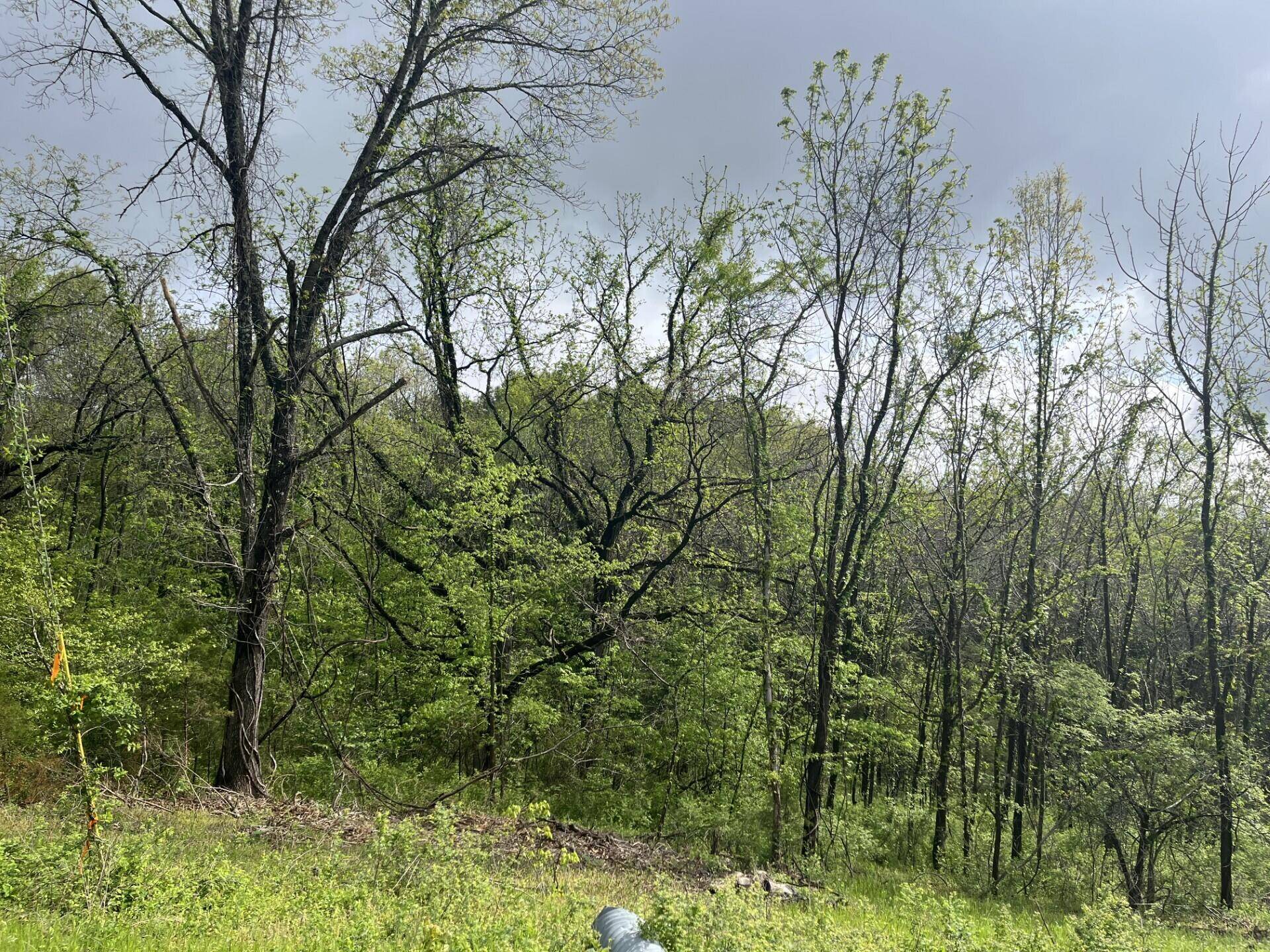 Cape Fair, MO 65624,000 Lot 169 Panorama DR