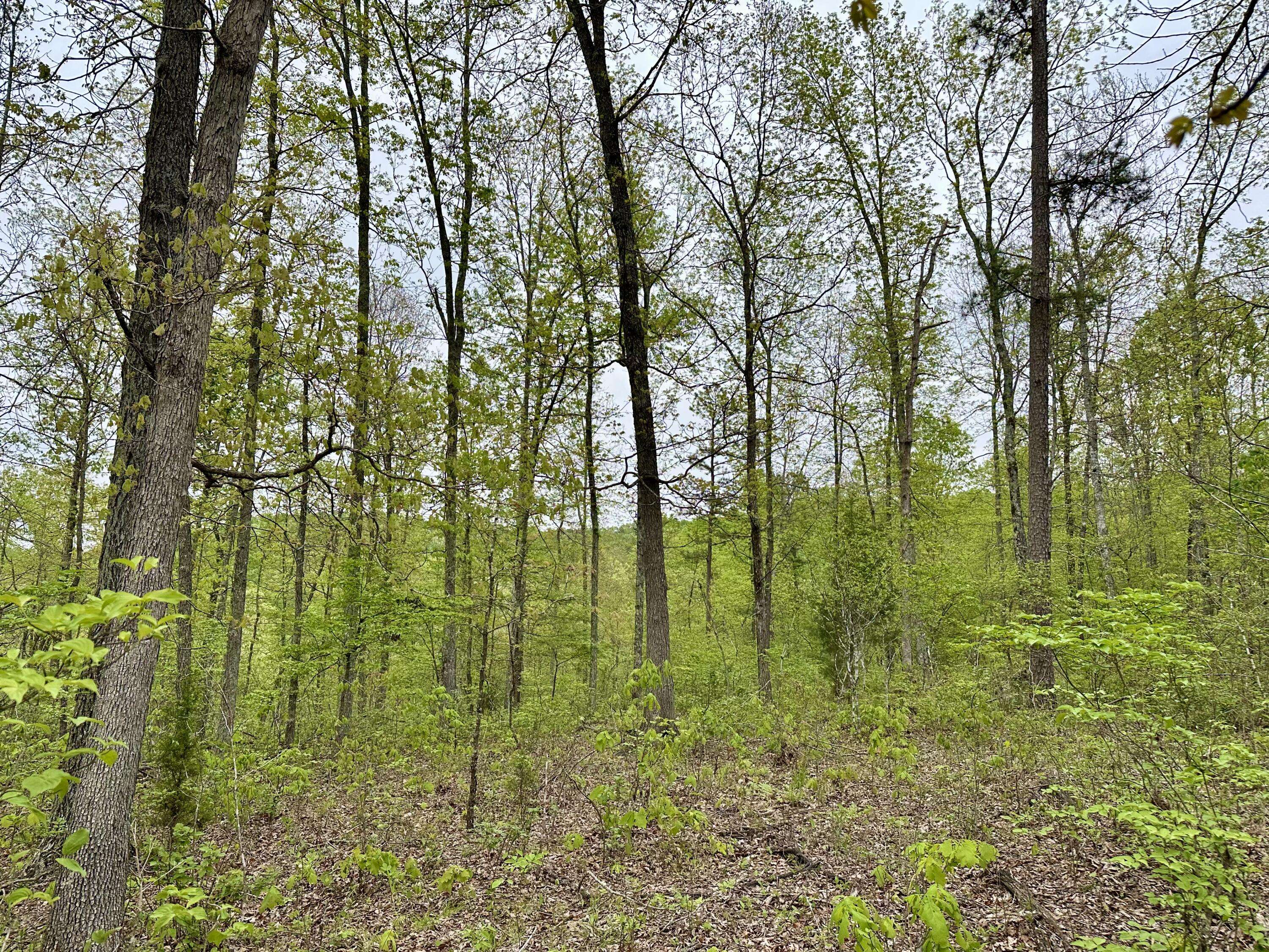 Van Buren, MO 63965,000 Highway D