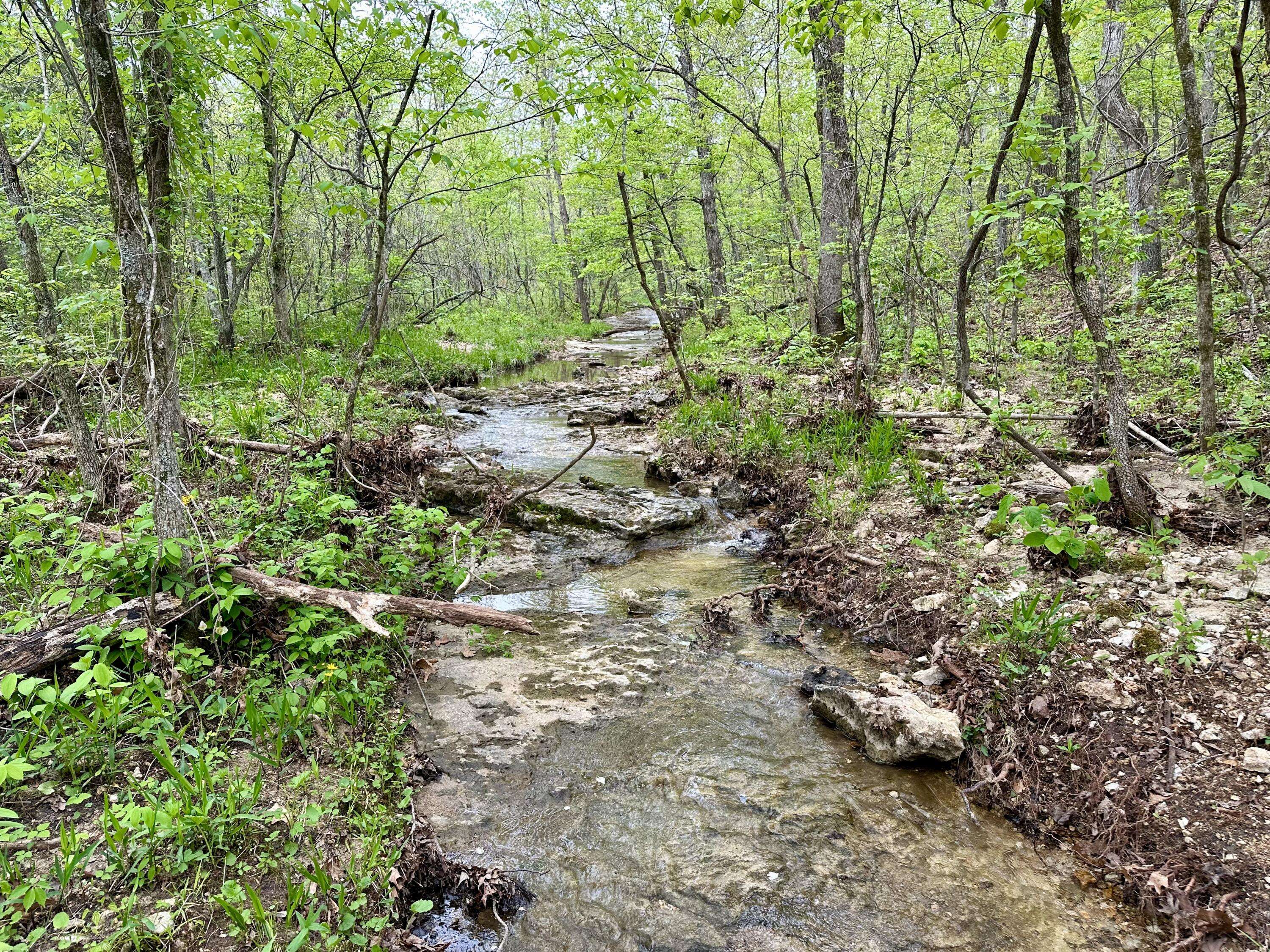 Van Buren, MO 63965,000 Highway D