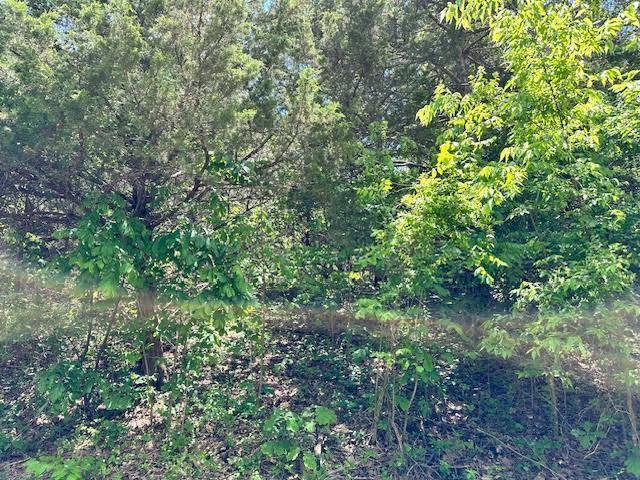 Horseshoe Bend, AR 72512,101 Isabella LN