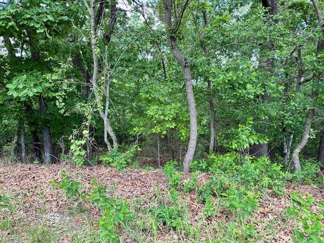 Horseshoe Bend, AR 72512,1303 View Park CIR