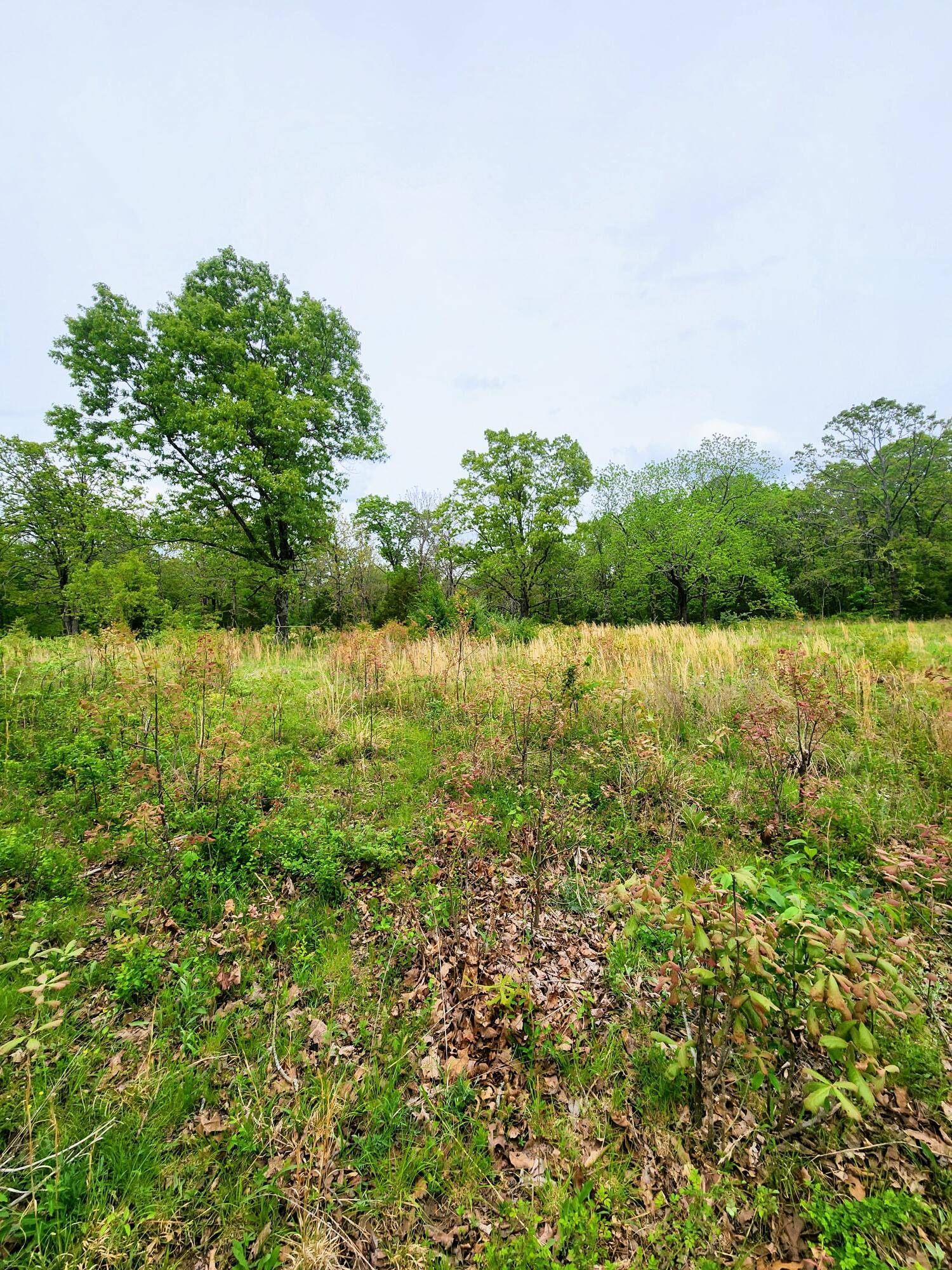 West Plains, MO 65775,000 Private Road 4361
