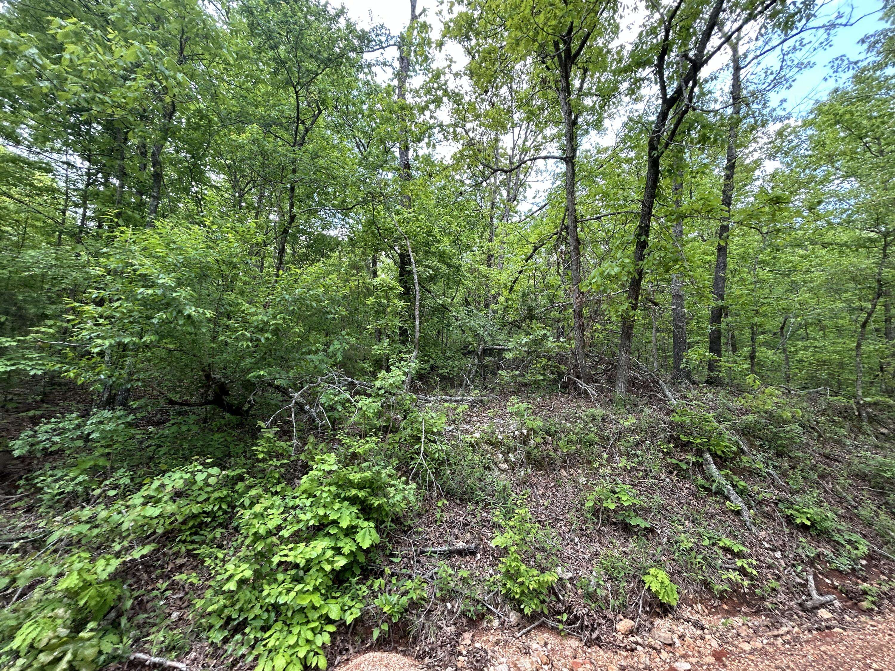 Hardy, AR 72542,000 River Trace Lane