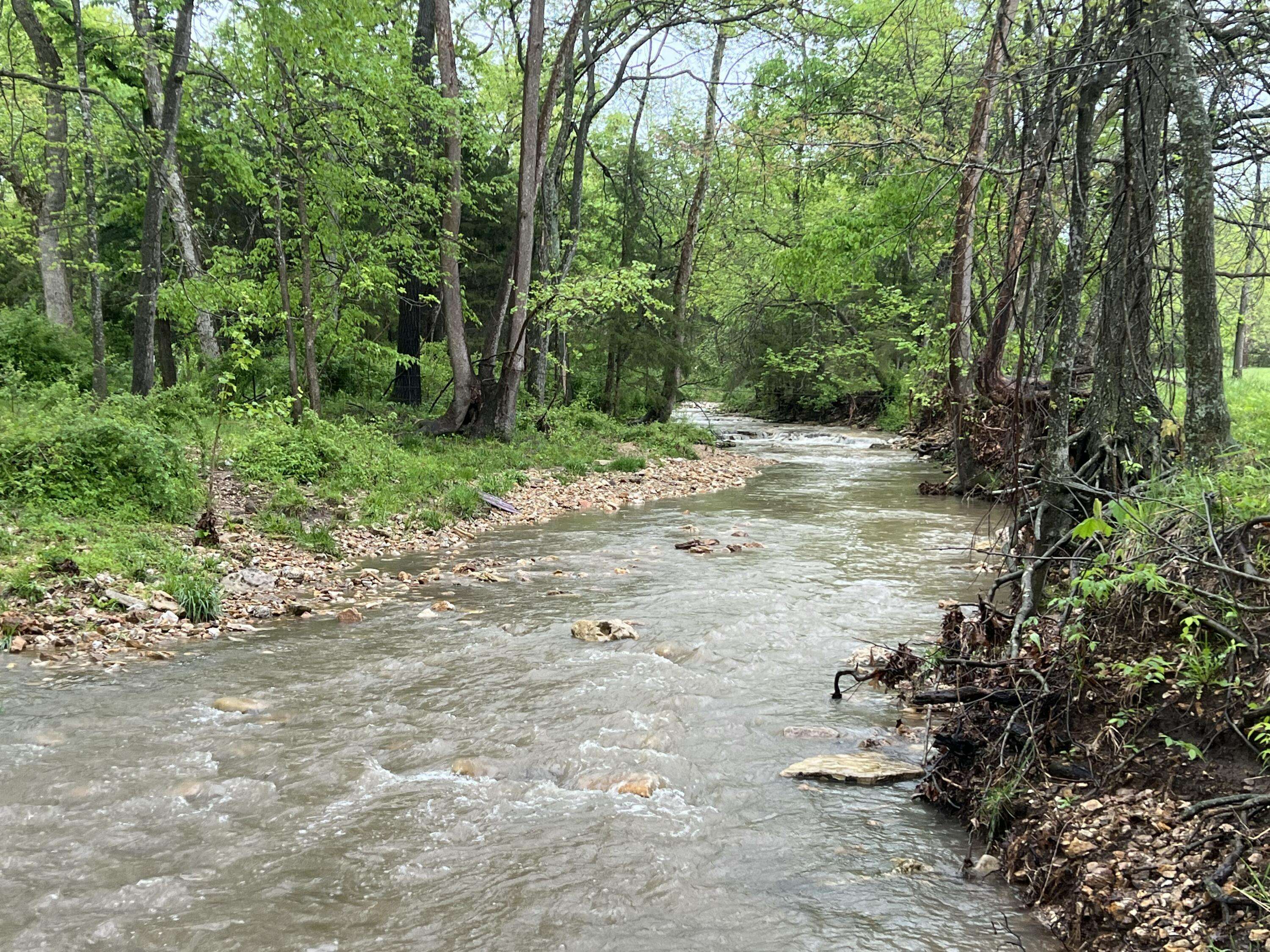 Wasola, MO 65773,196 County Road 952