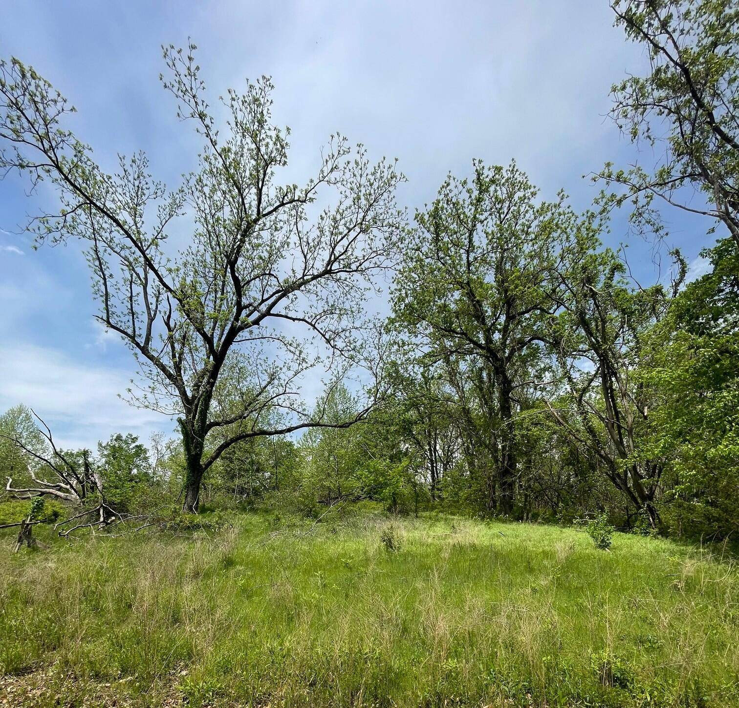 Powell, MO 65730,1485 Cowan Ridge RD