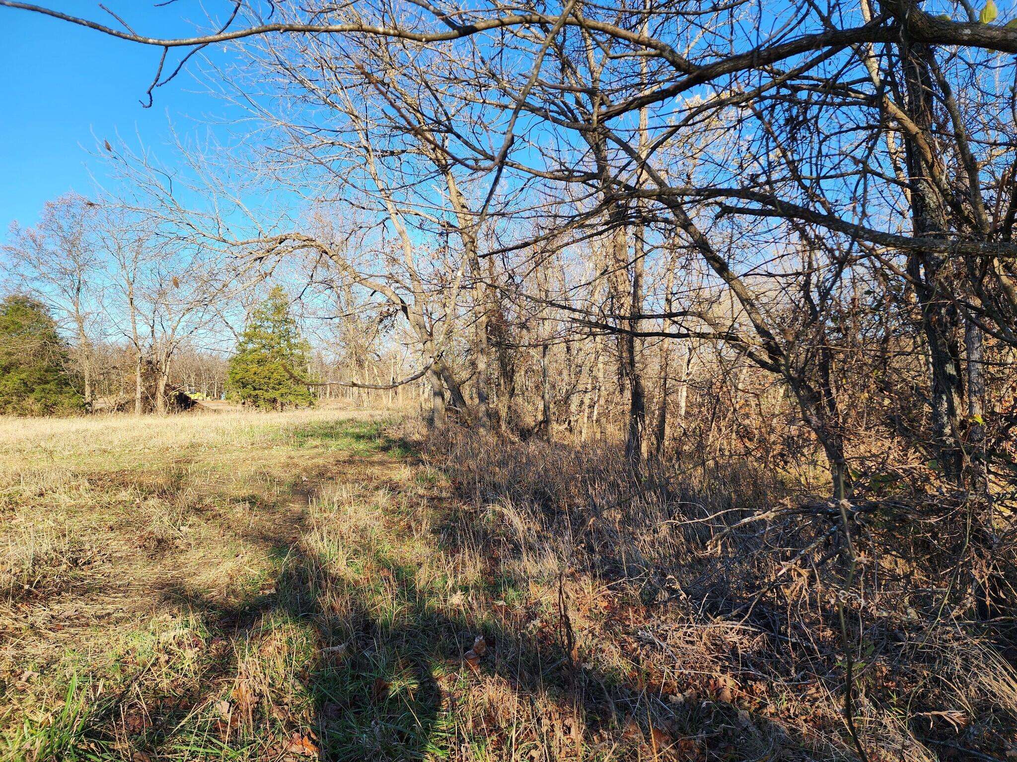Brighton, MO 65617,000 Farm Road #2