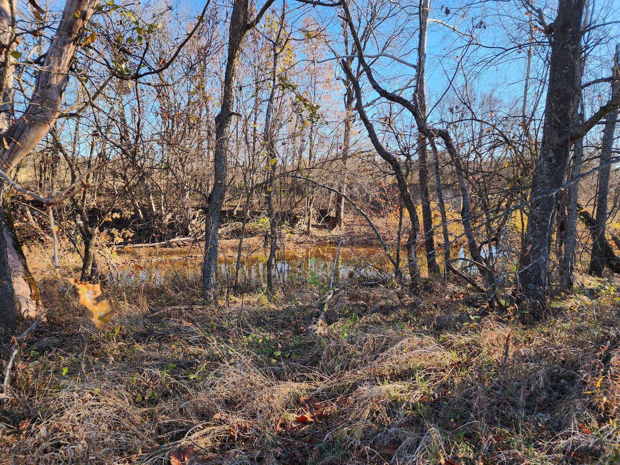 Brighton, MO 65617,000 Farm Road #2