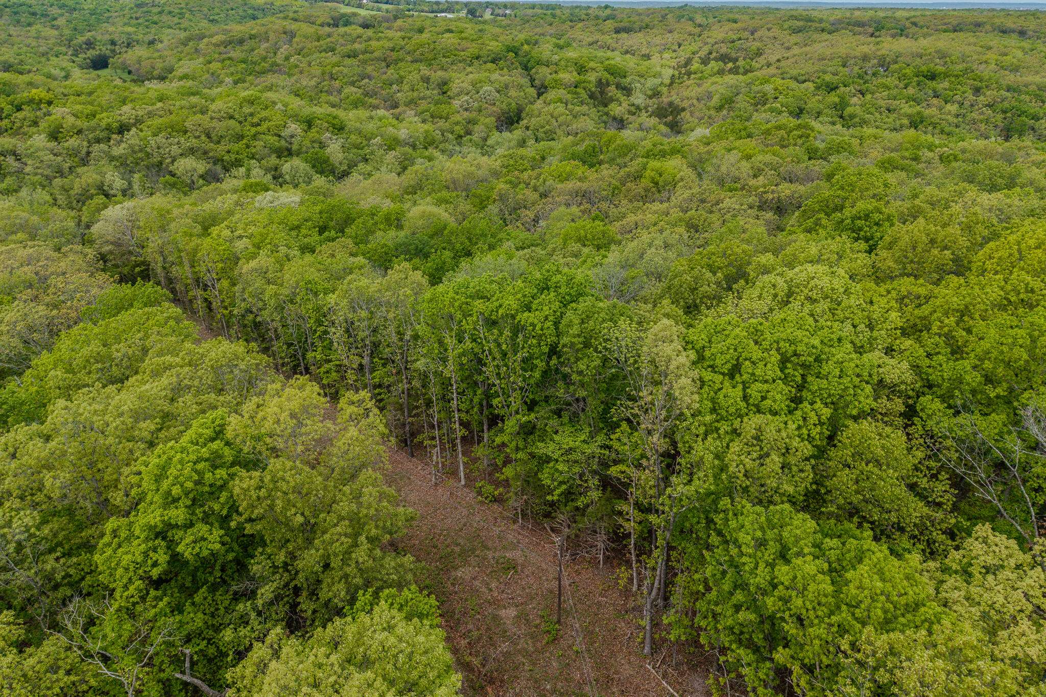 Pittsburg, MO 65724,000 Pandamonium WAY