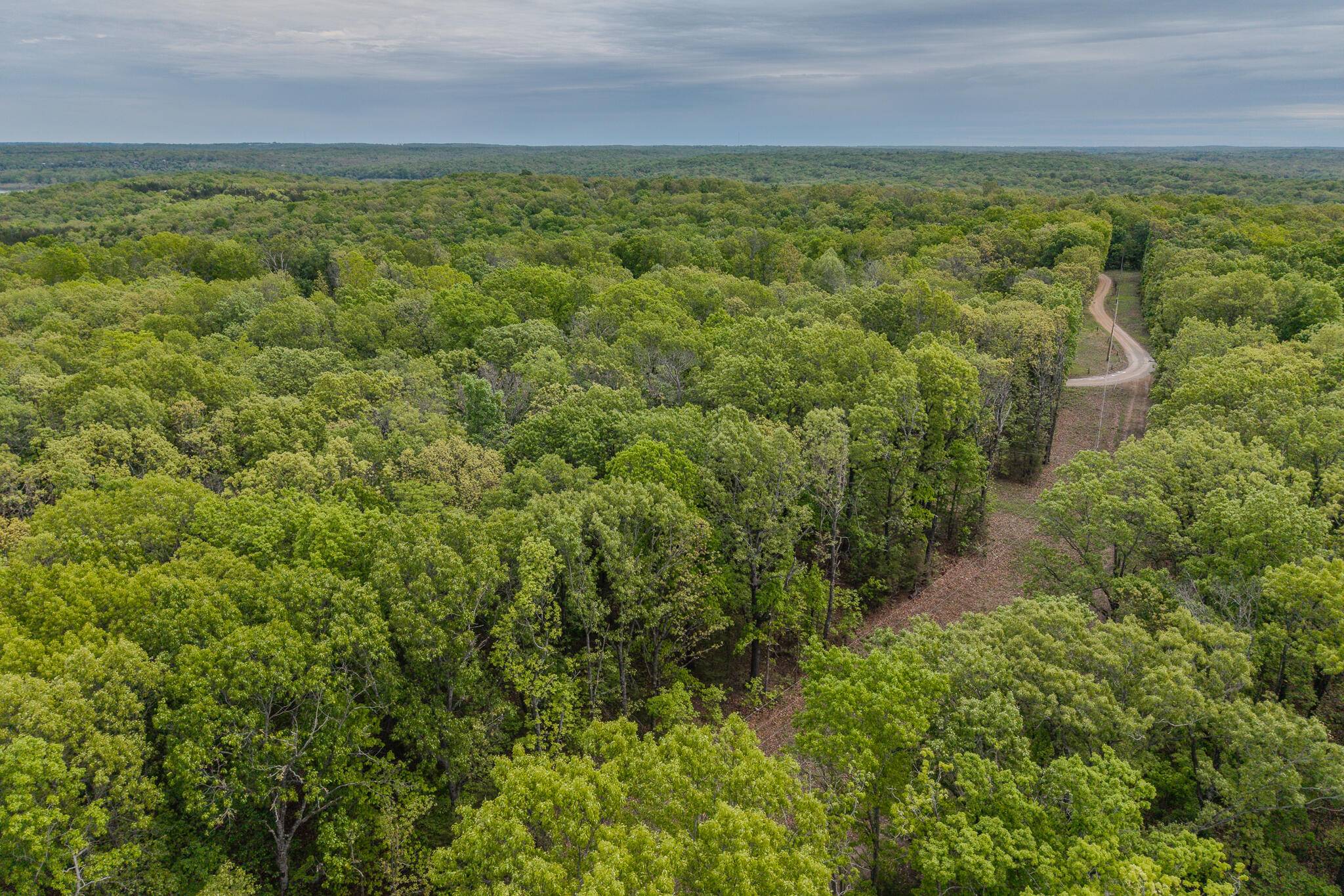 Pittsburg, MO 65724,000 Pandamonium WAY