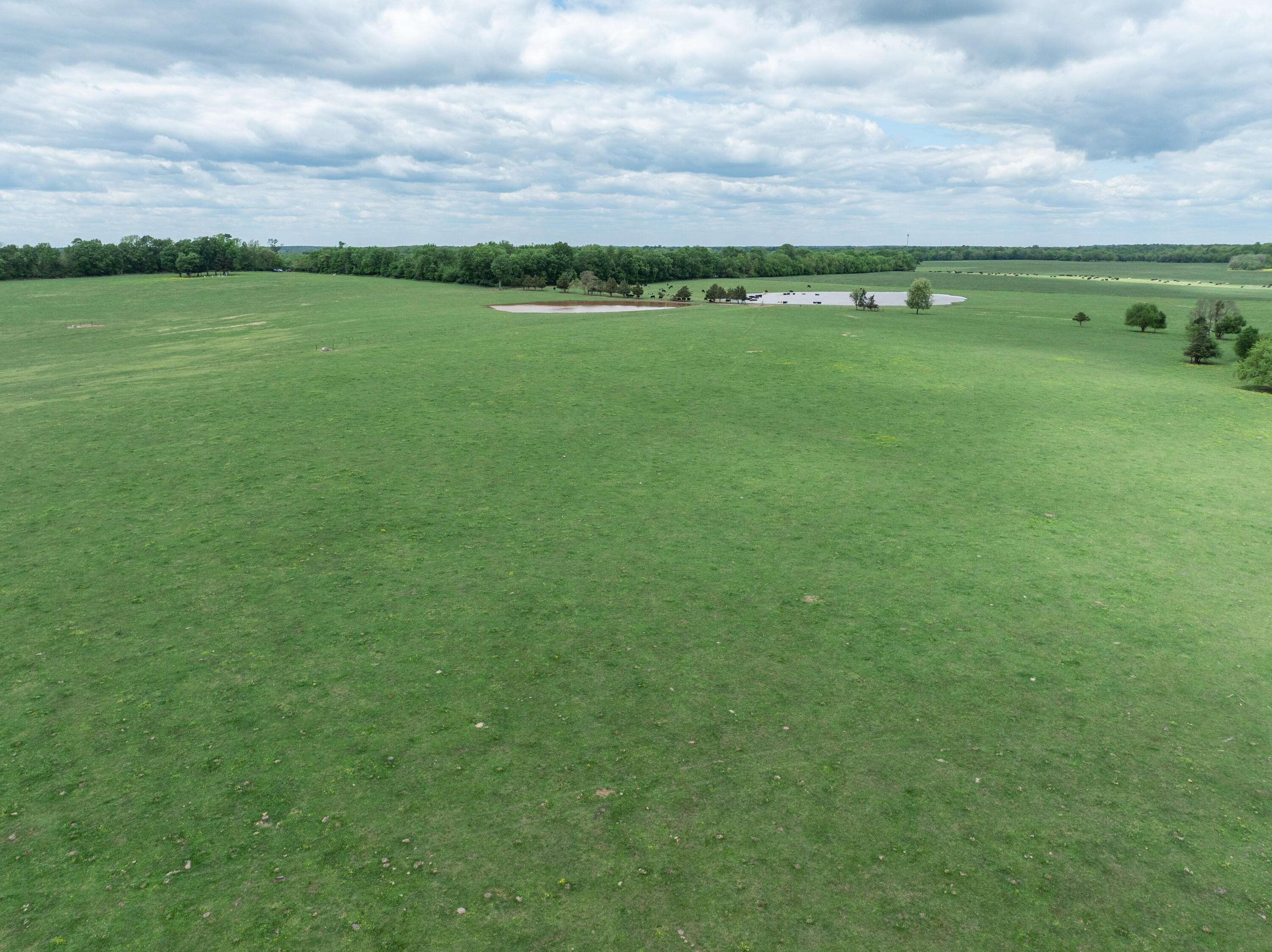 Springfield, MO 65803,000 W Farm Road 76