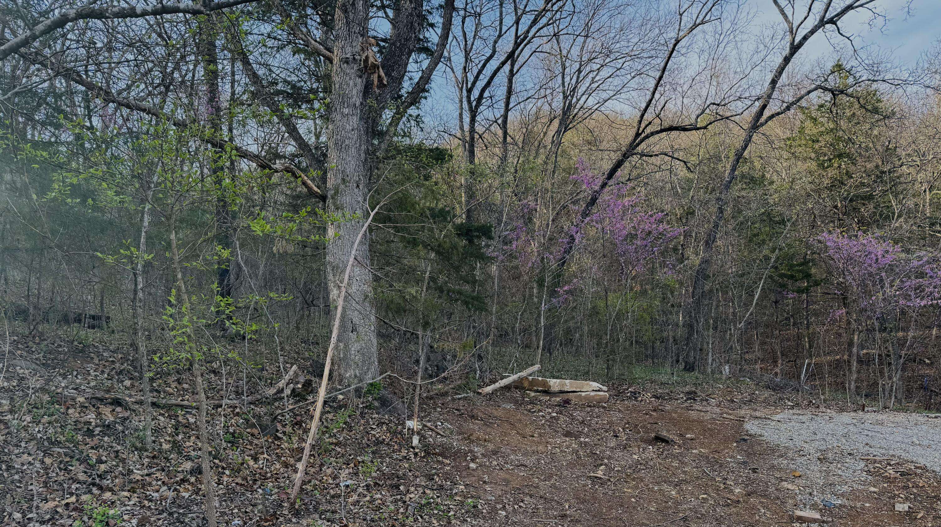 Lampe, MO 65681,112 Mill Bridge