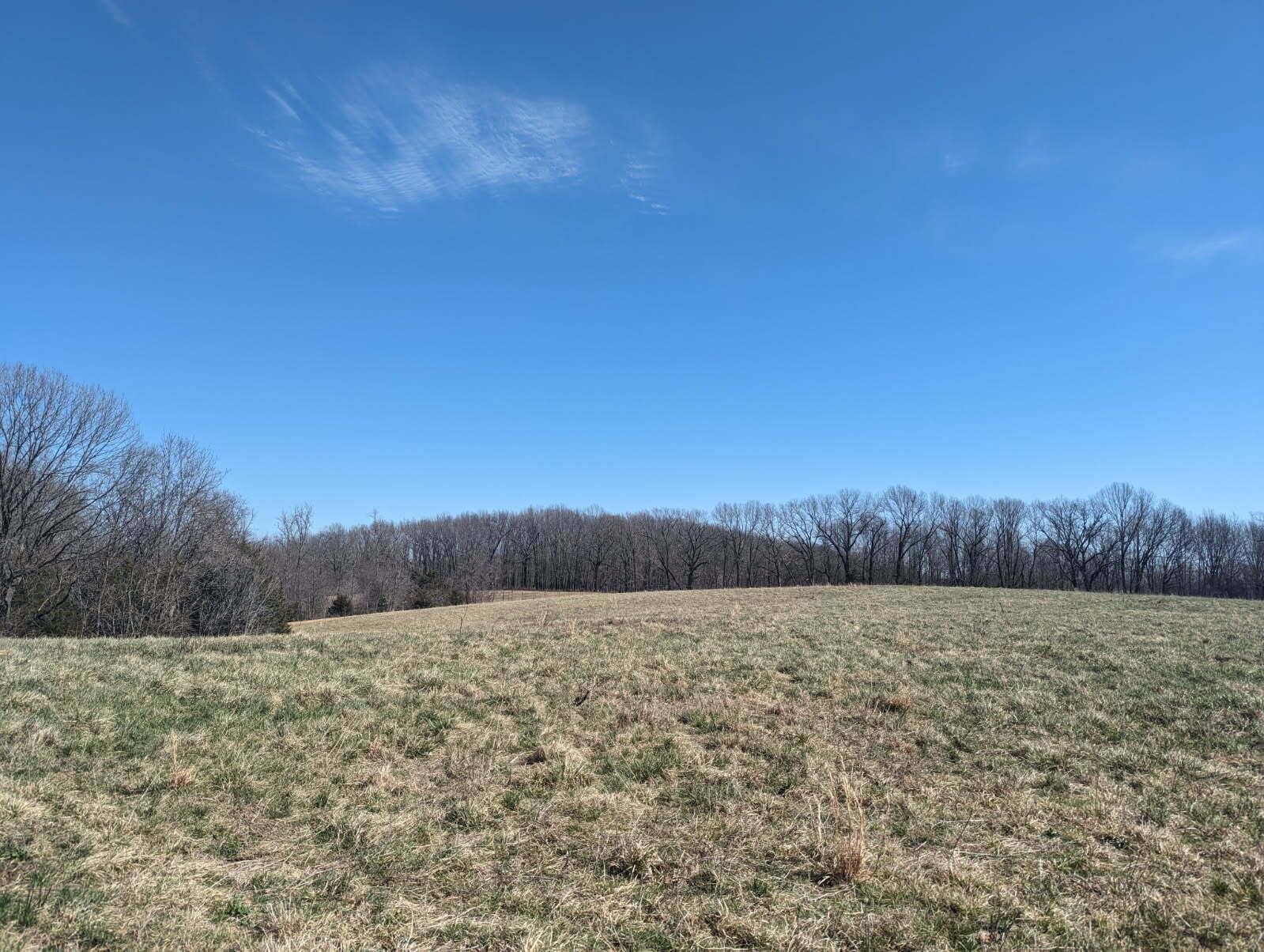 Crane, MO 65633,000 Warner RD