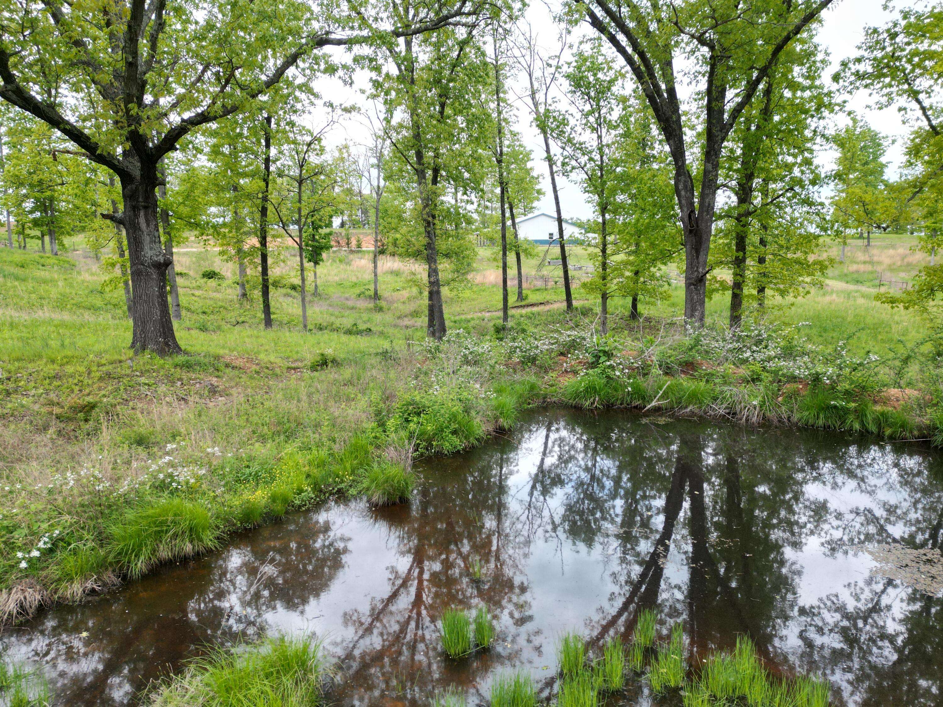 Mountain Grove, MO 65711,8065 Gourley RD