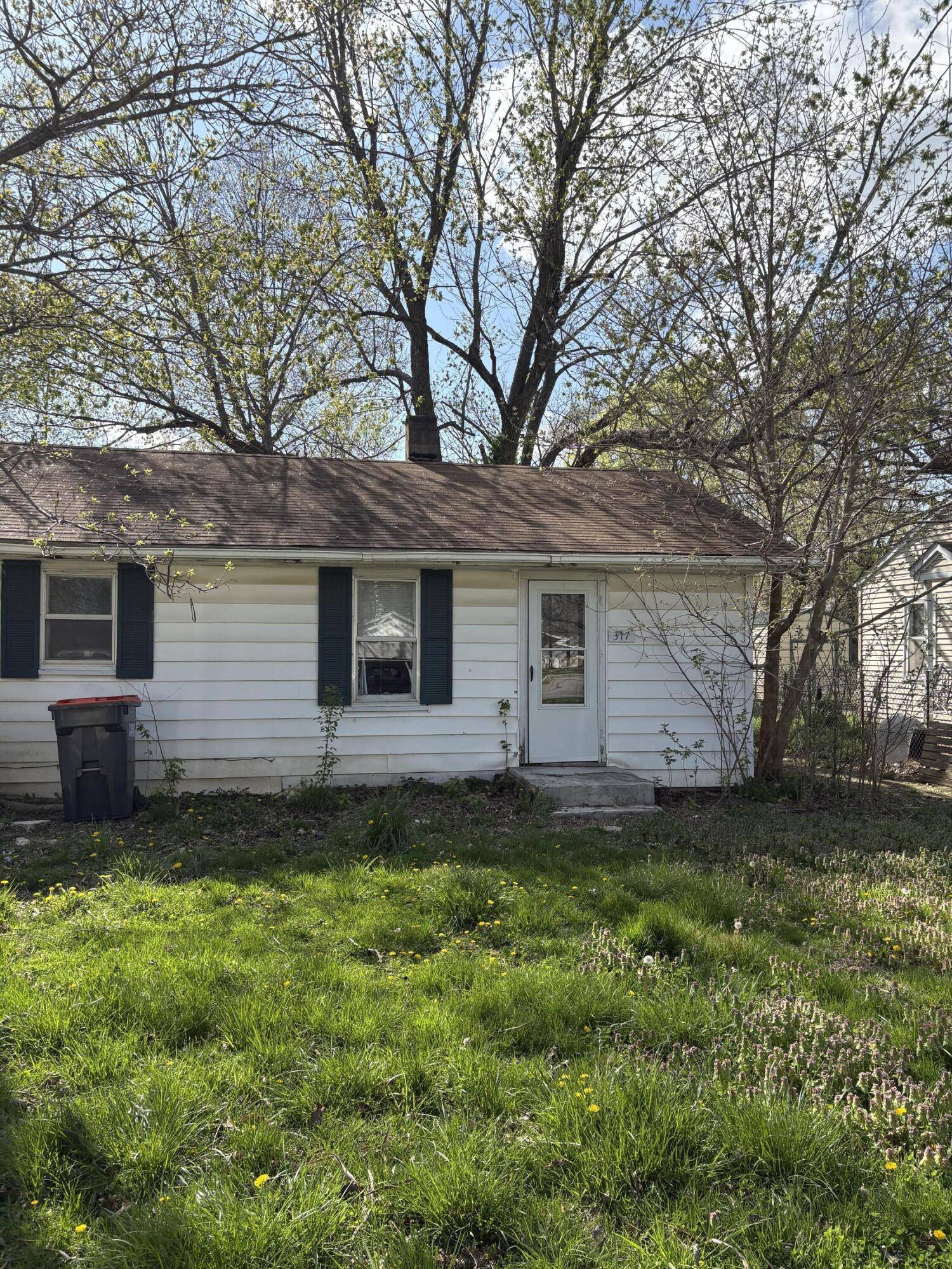 Clever, MO 65631,317 S Mitchell AVE