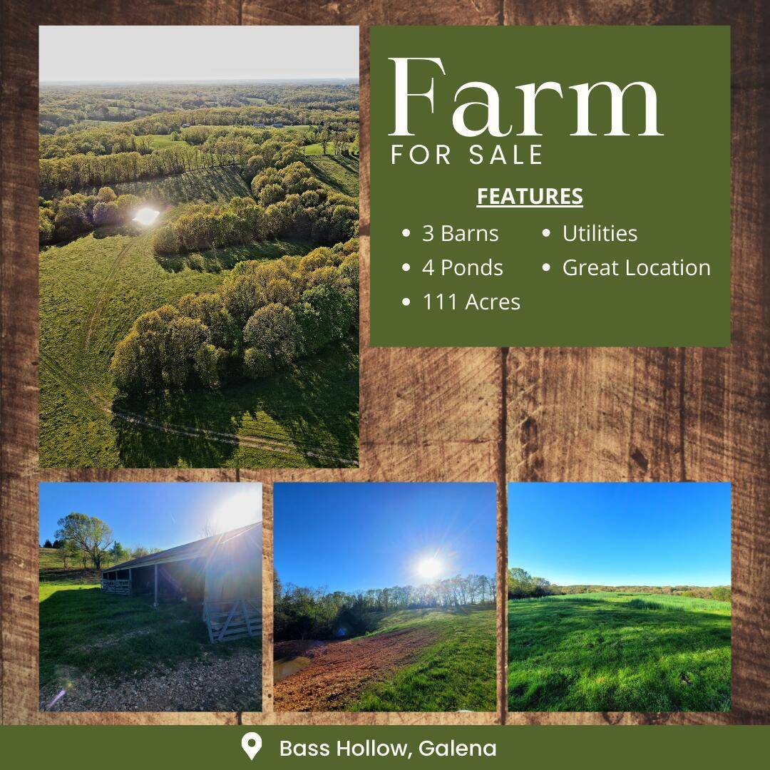 Galena, MO 65656,000 Bass Hollow Road