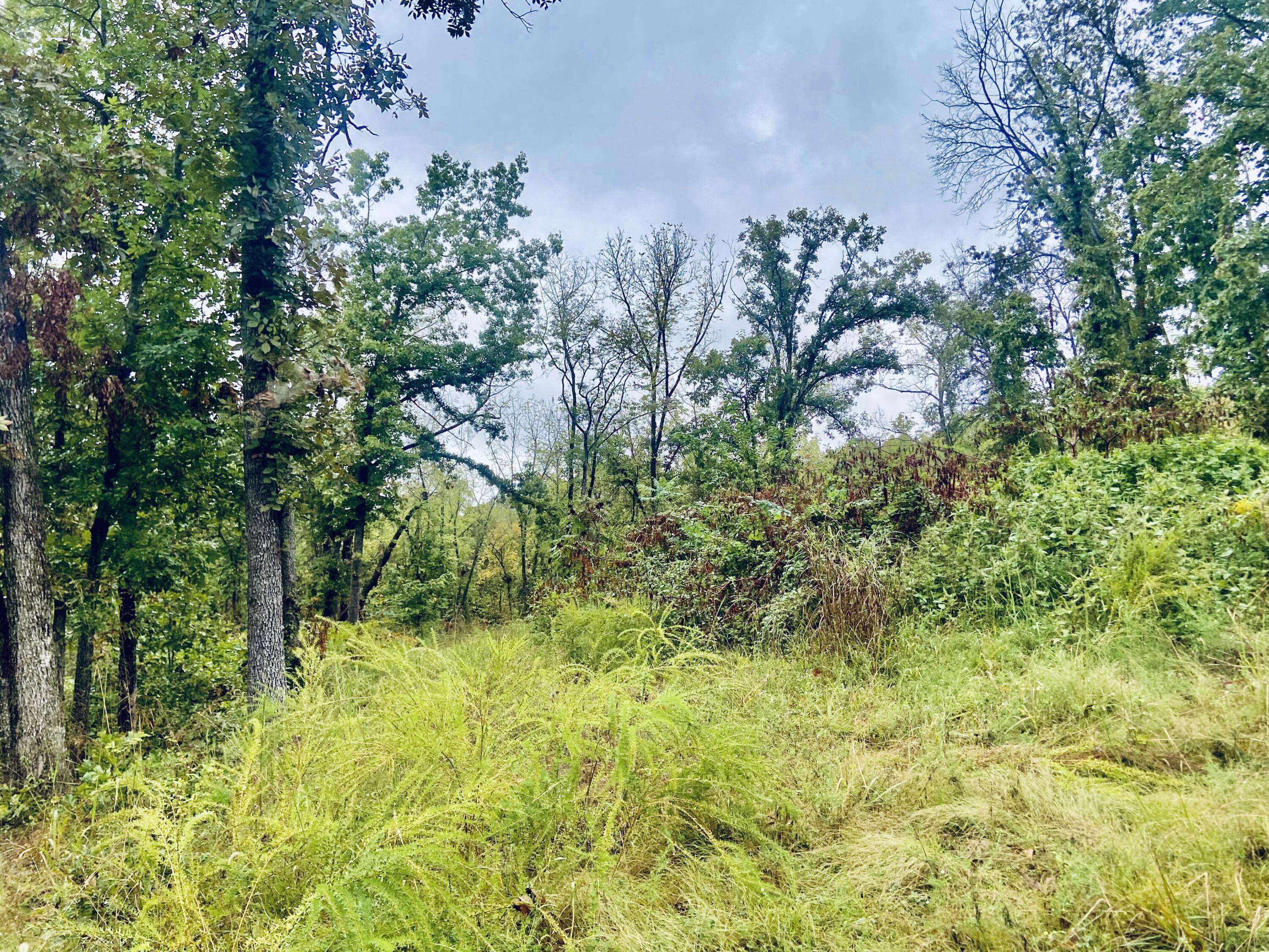 Greenfield, MO 65661,294 E Dade 68