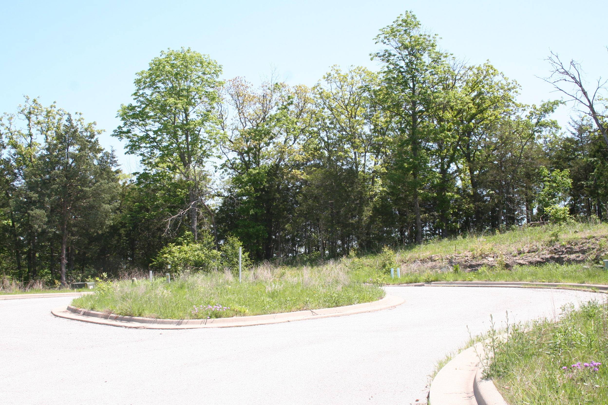 Branson, MO 65616,146 Deauville CIR