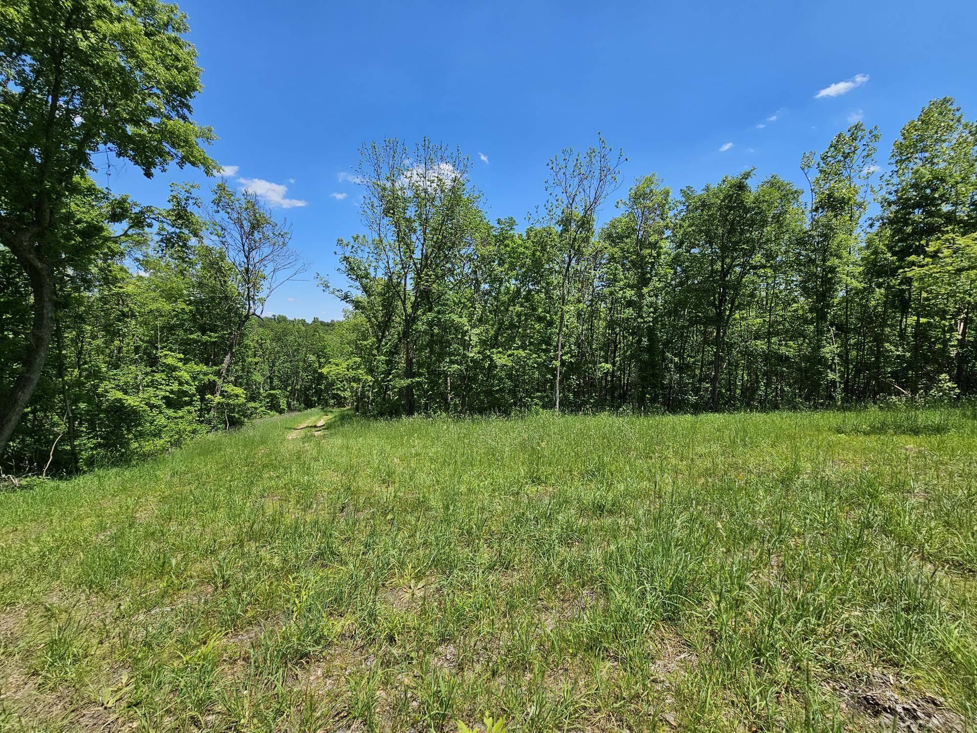 Anderson, MO 64831,690 Town Hollow RD