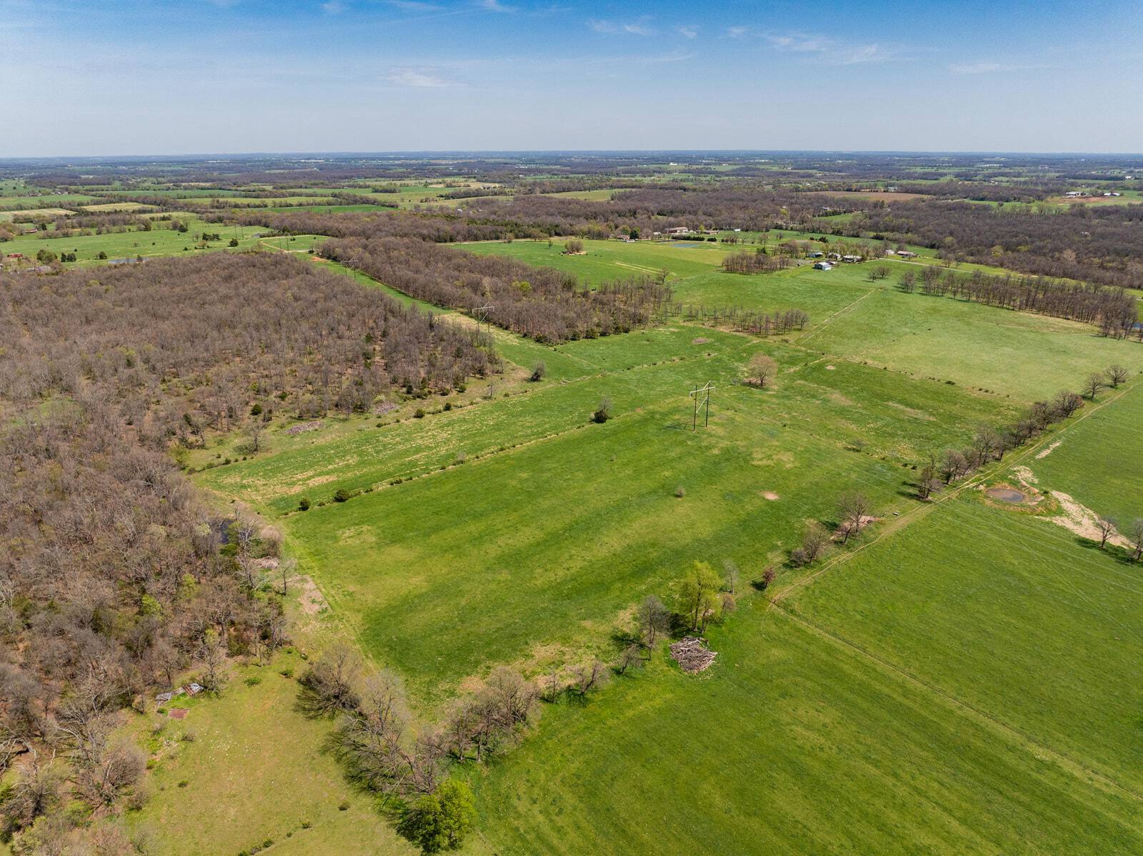 Pierce City, MO 65723,21525 Lawrence 1050