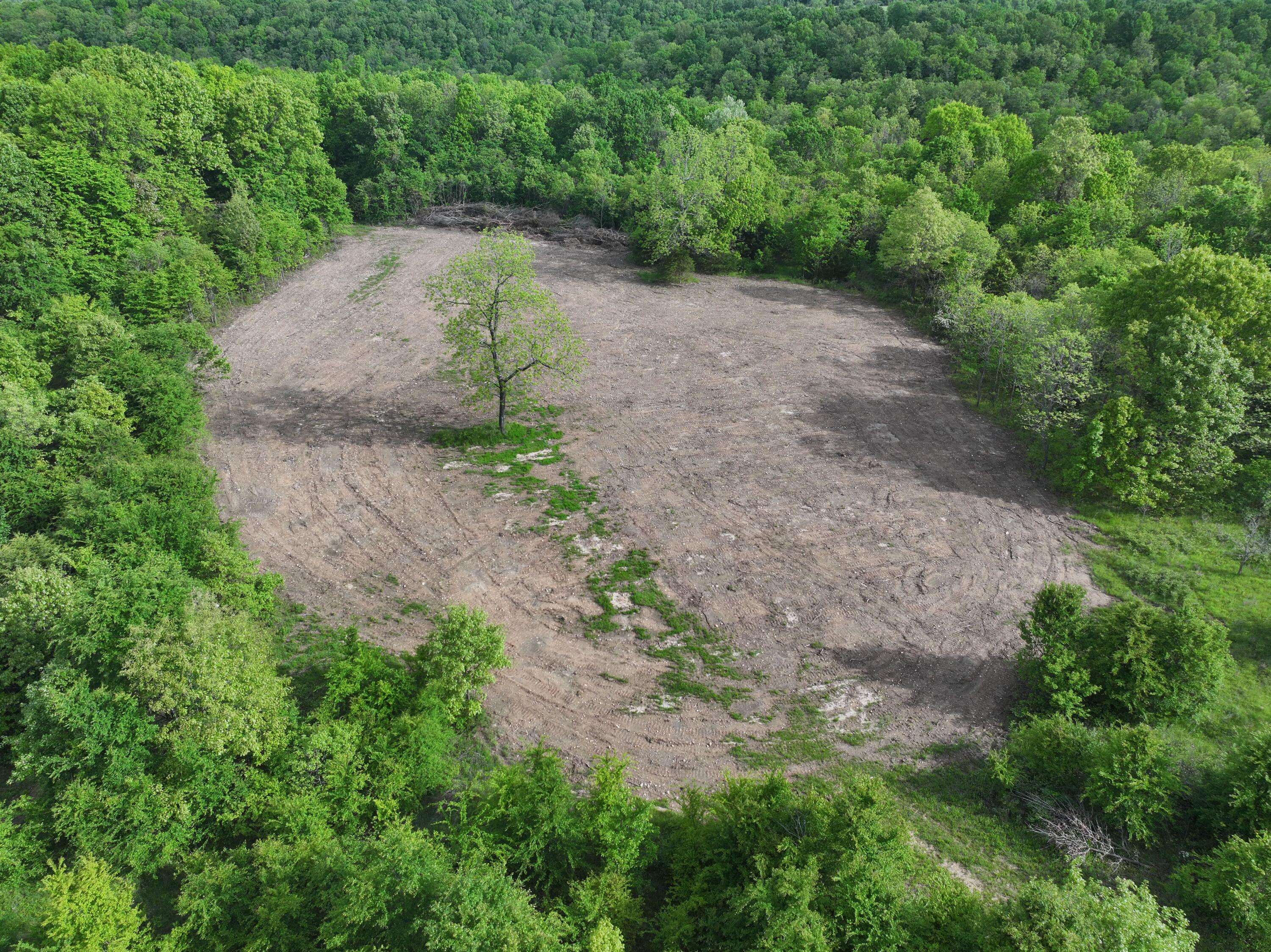 Rocky Comfort, MO 64861,143 Horton RD