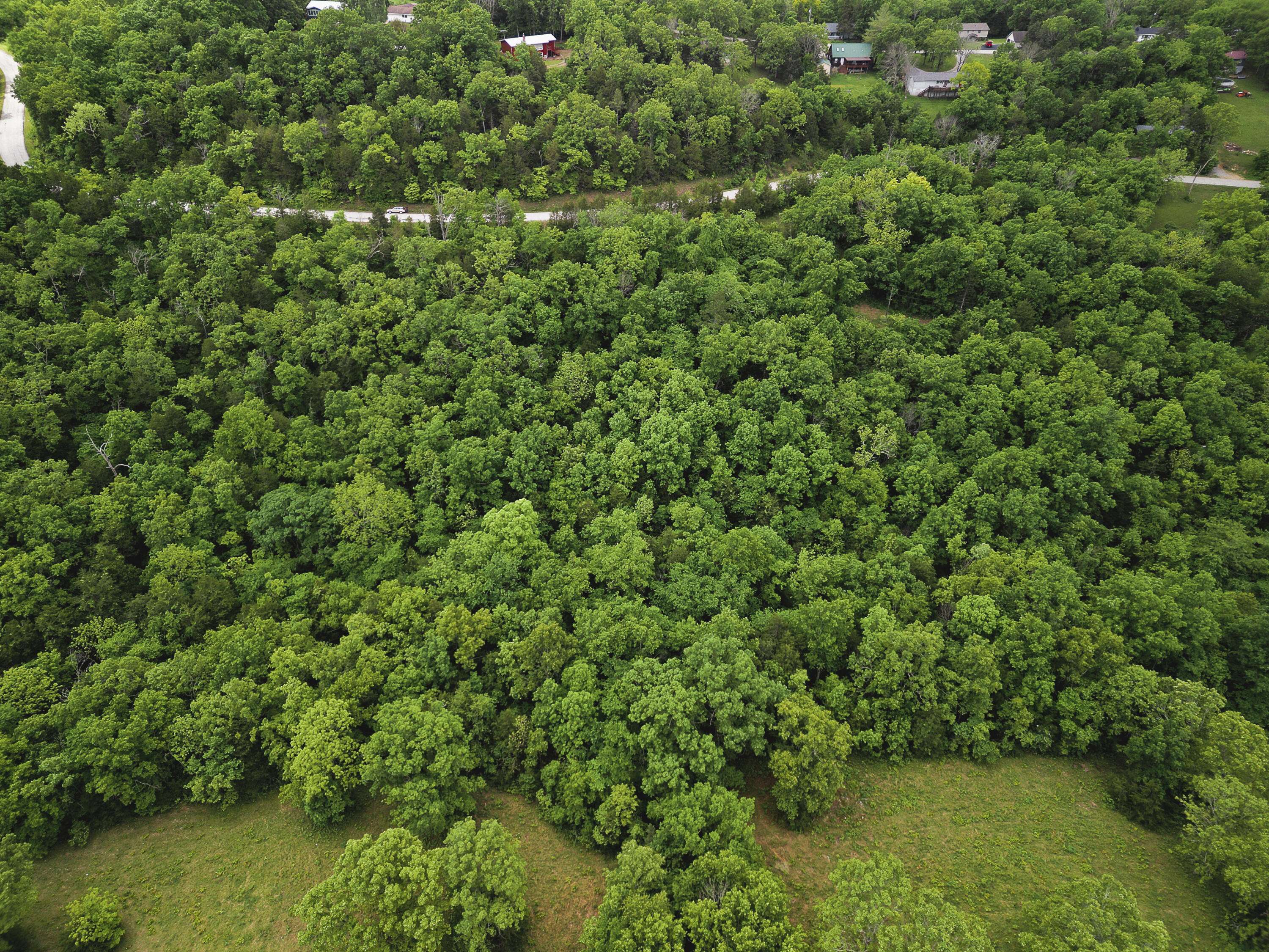 Gainesville, MO 65655,000 Bulldog LN