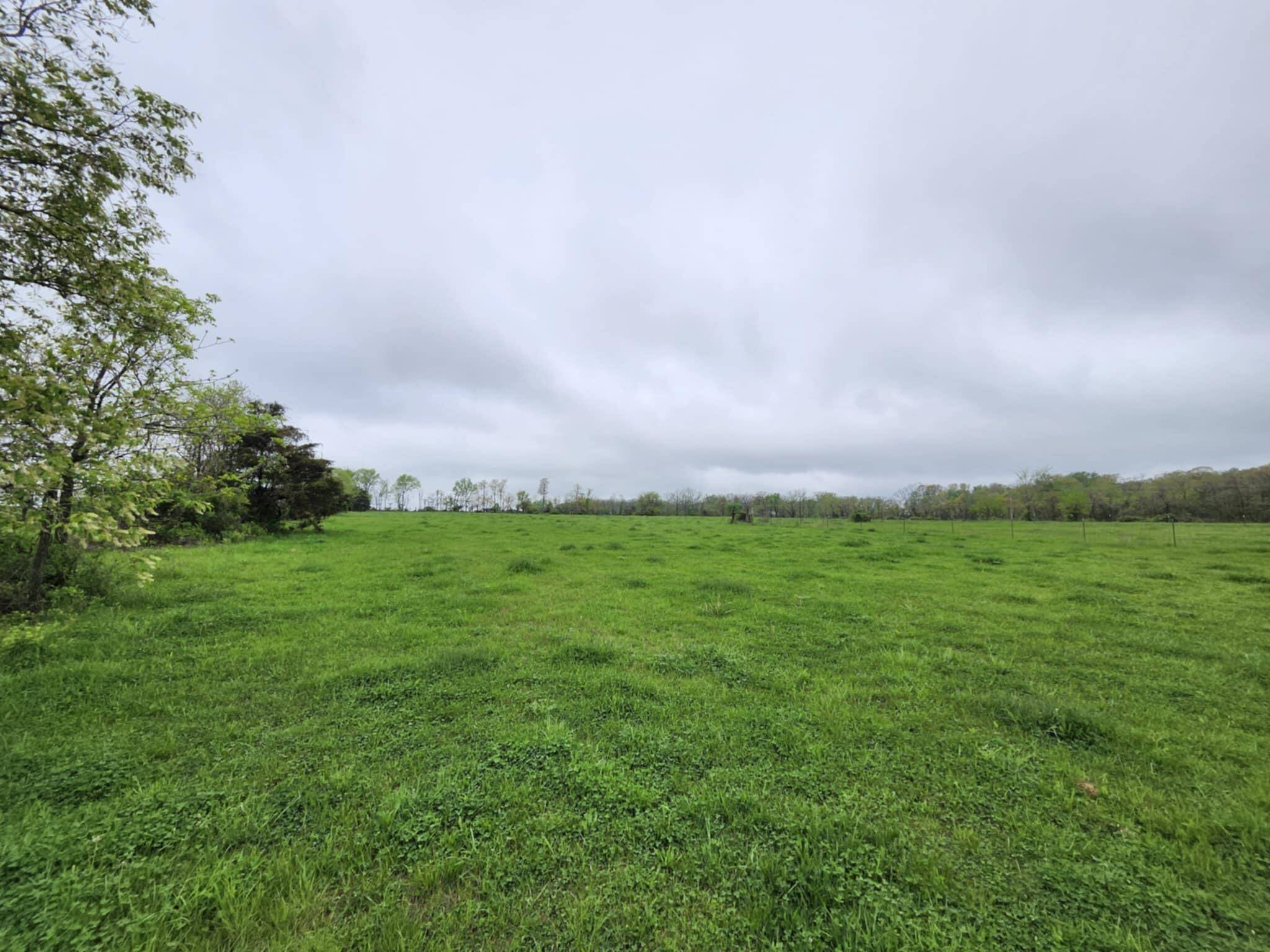 Mountain Grove, MO 65711,000 Wolfe DR